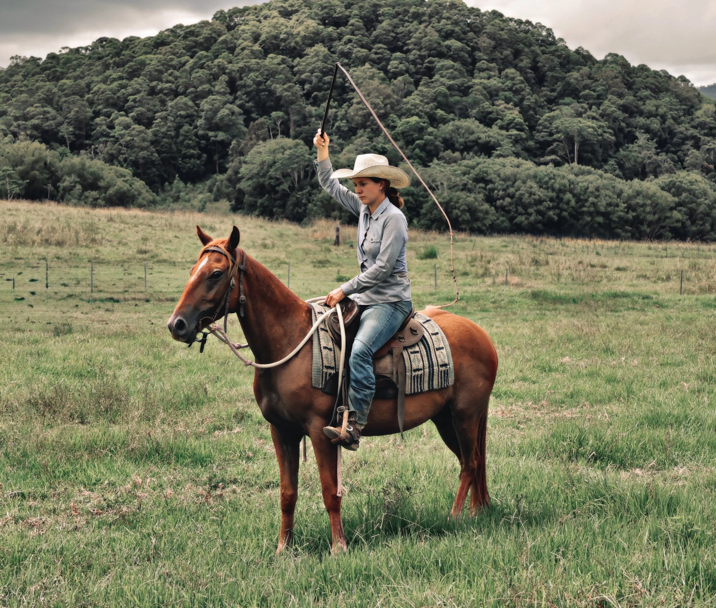 15509831-82D9-44ED-AD04-F75EC6A83125_COLOURTONE 2.jpeg