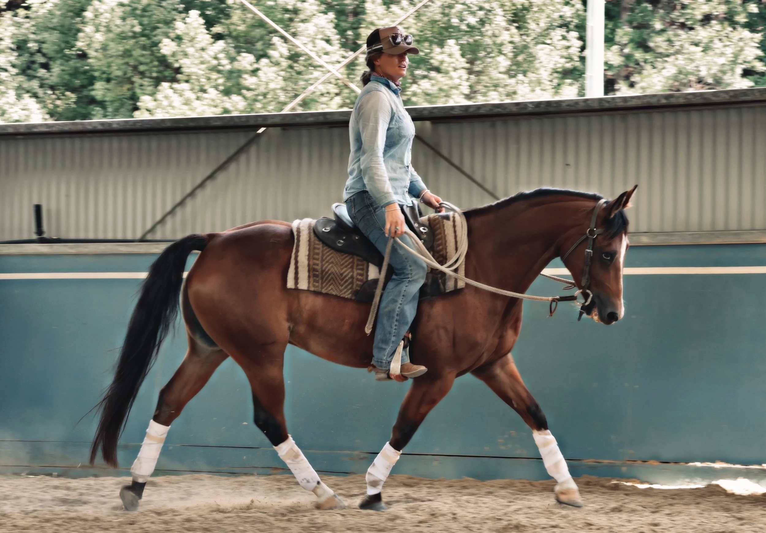 451F6FA8-FEE9-4ED2-9EC2-09AA2D37ECC0_COLOURTONE 2.jpeg