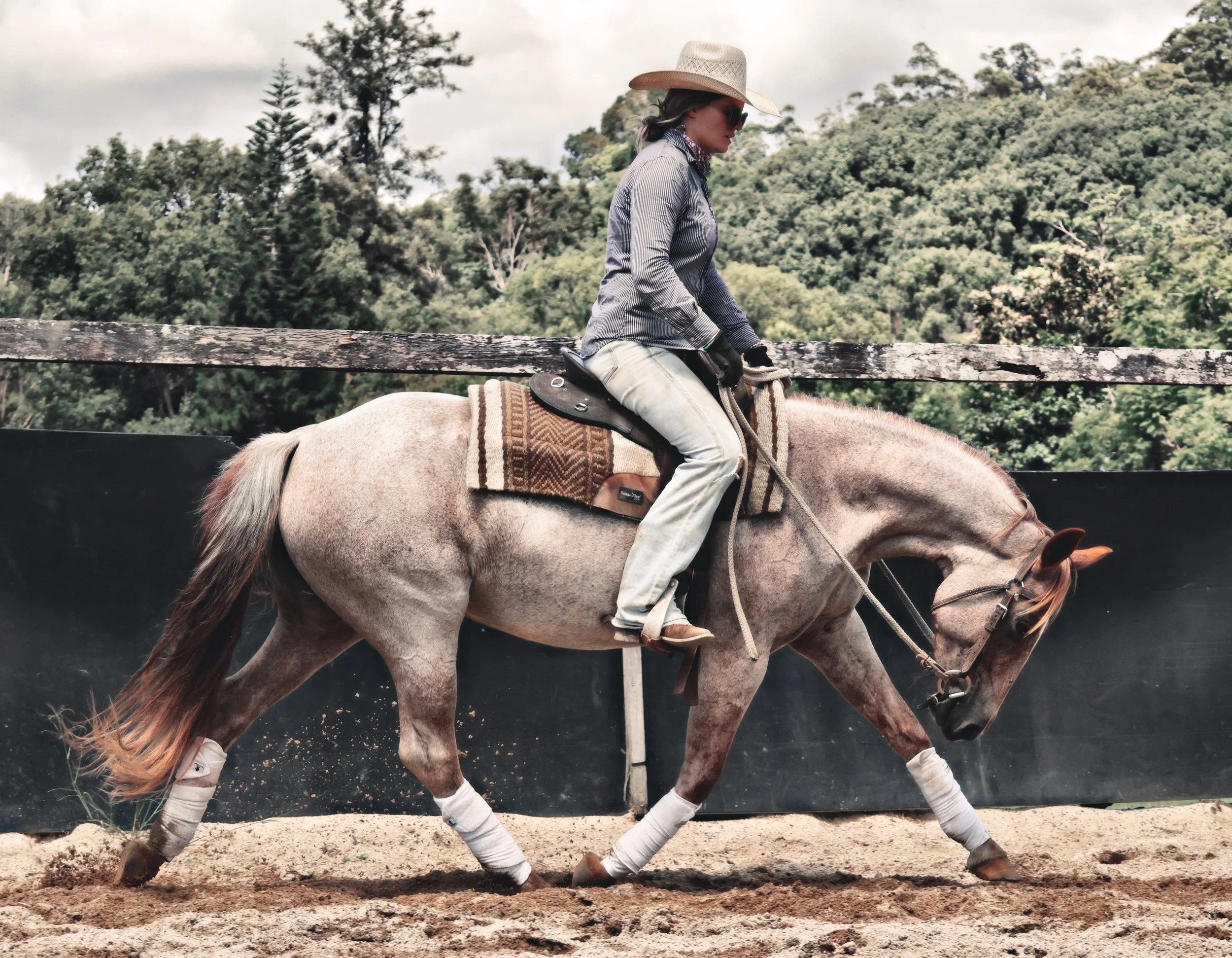 36DD9245-B38B-4838-A19F-5485D745F956_COLOURTONE 2.jpeg