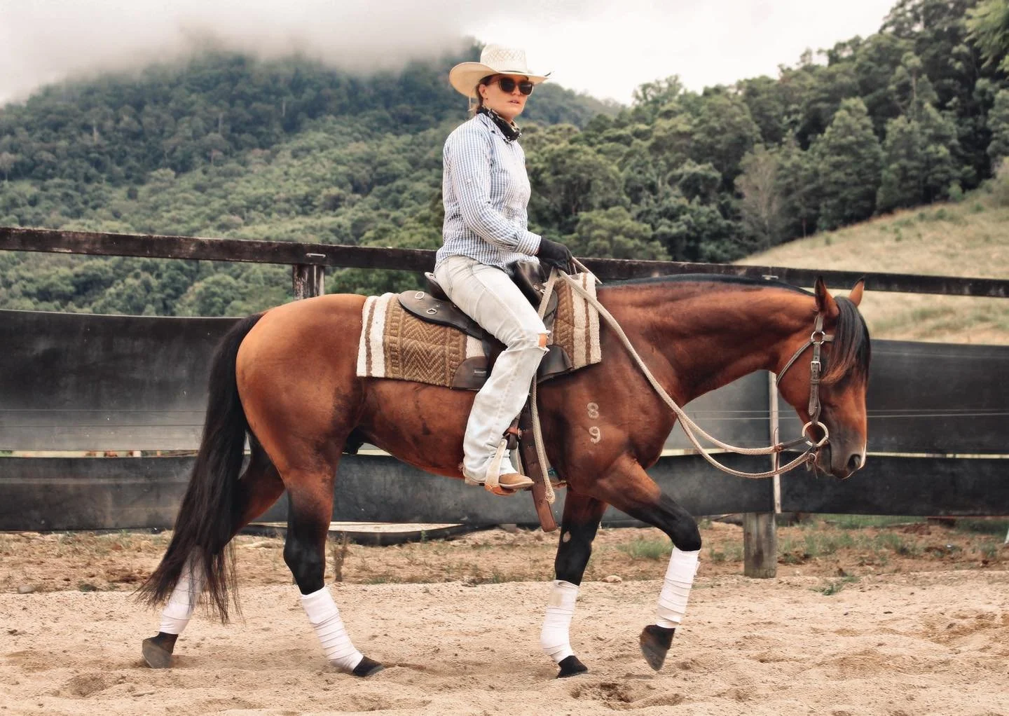 642345873_888100174010581_2548647927550692328_n (1).jpg