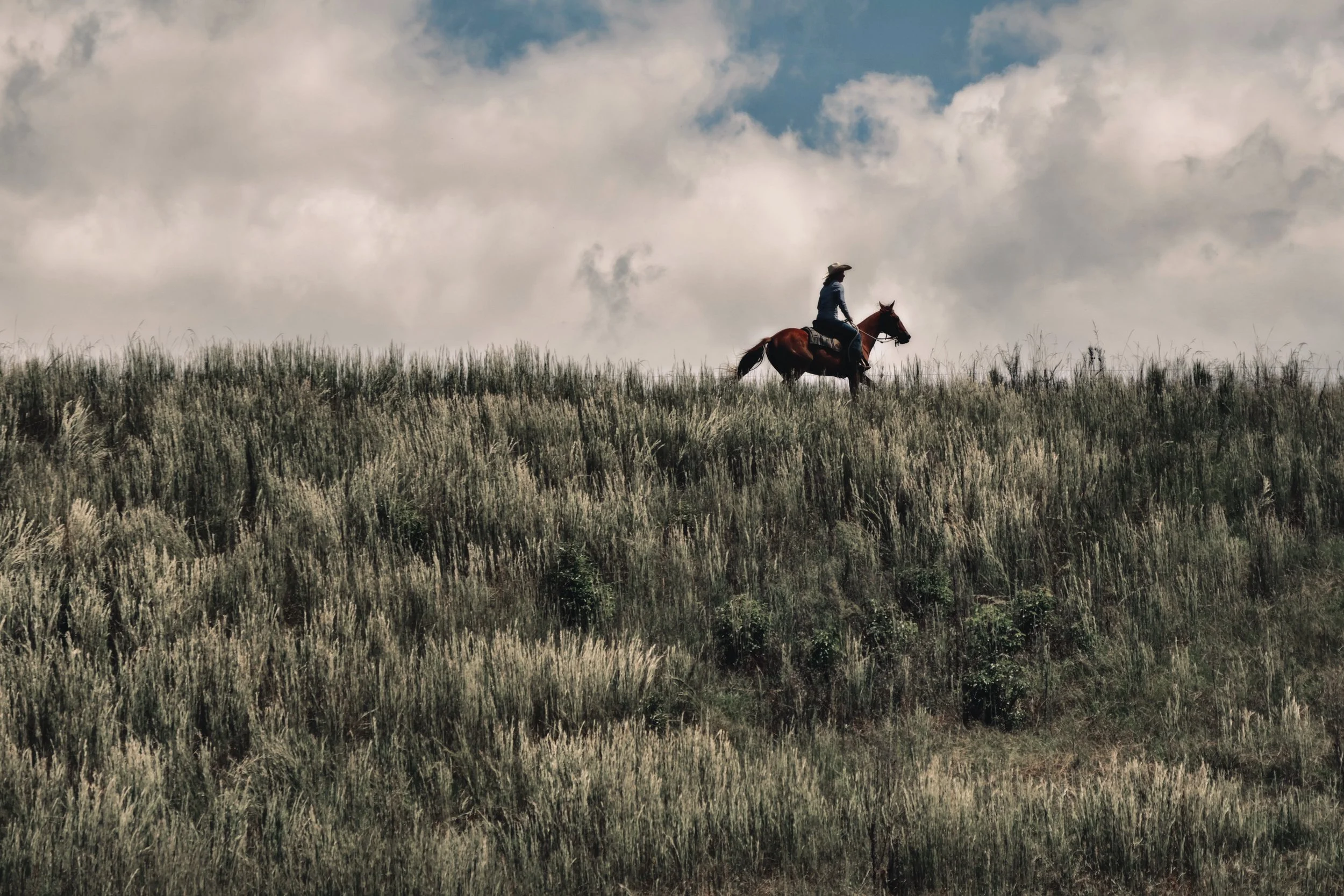 B25E21E0-9299-457D-BE3E-B68E3DE53E36_COLOURTONE 2.jpeg