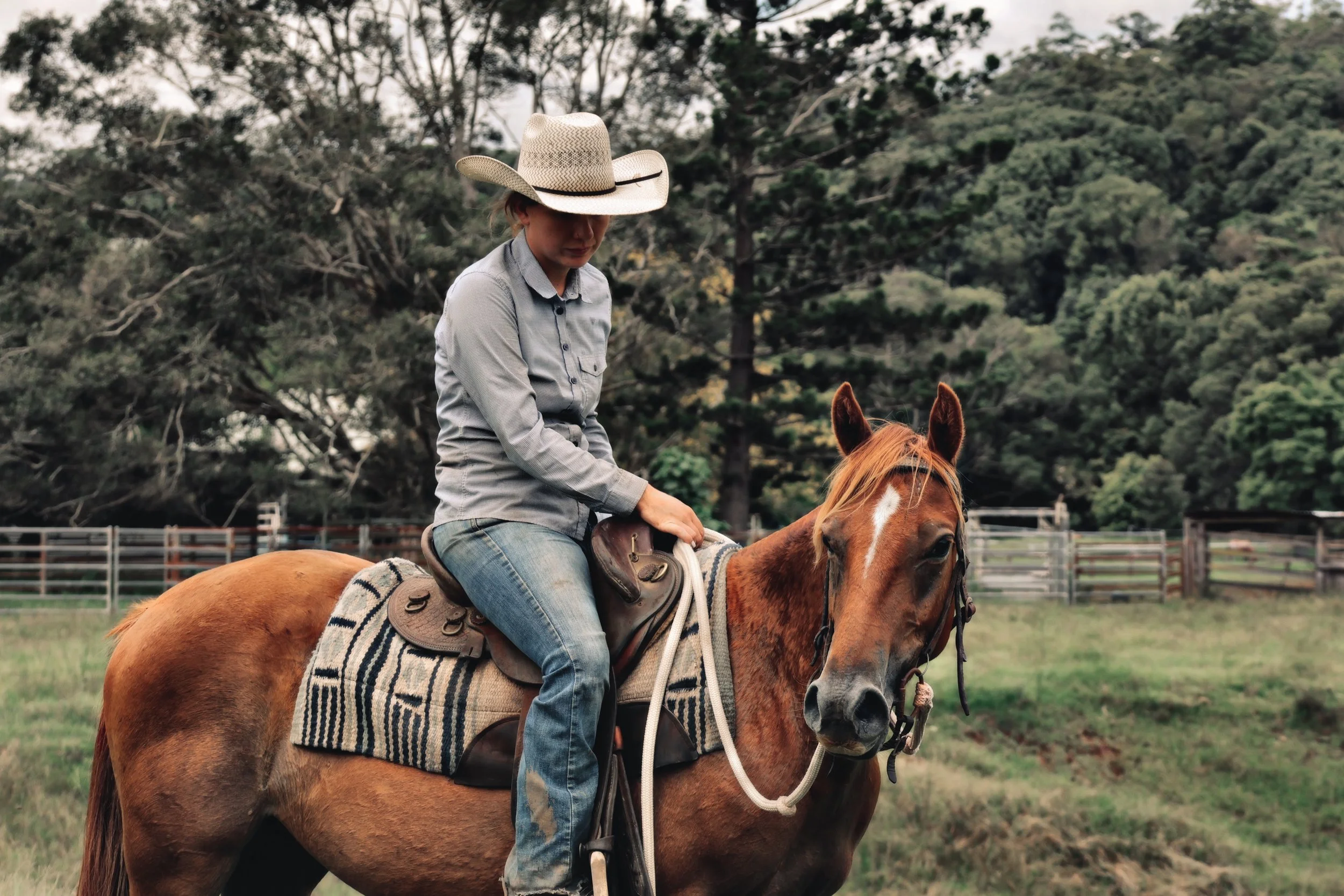 9E303D92-6147-4815-A616-C5133C6A0068_COLOURTONE 2.jpeg