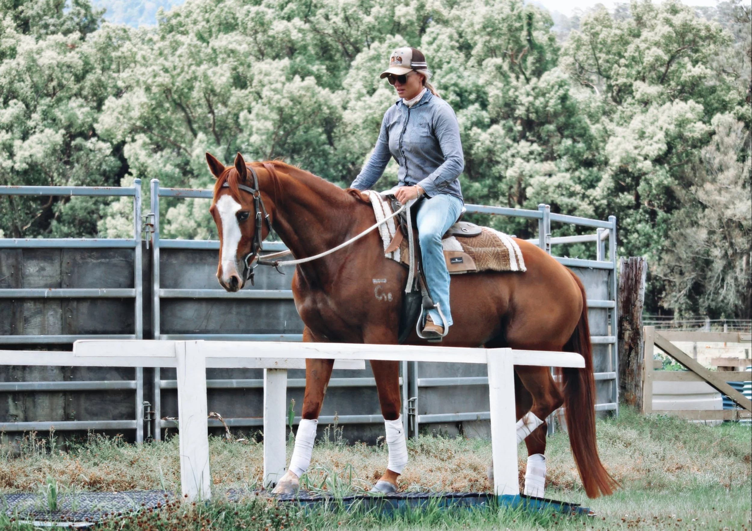 F58446C6-2F24-4D97-8ECA-A7ED0466AFF7 2.jpeg