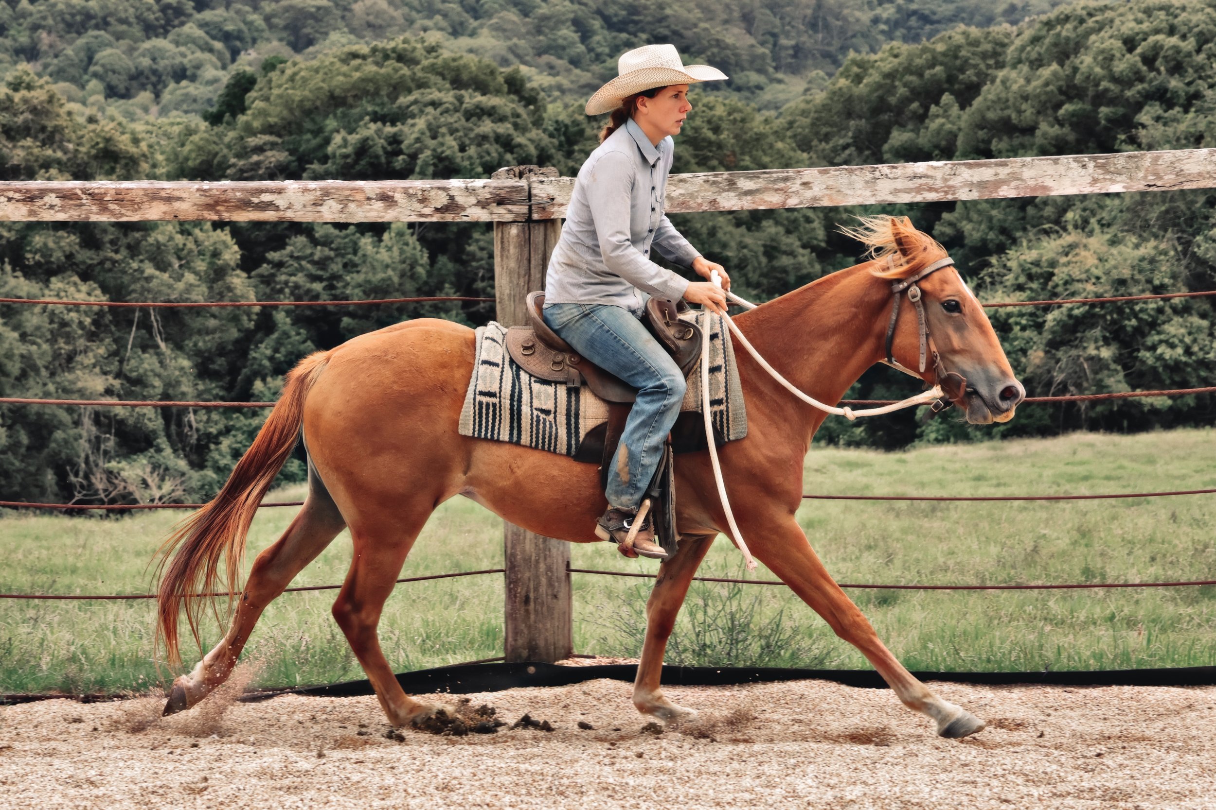 971C8330-84C2-430B-A7C3-B7DEA4A3233C_COLOURTONE 2.jpeg