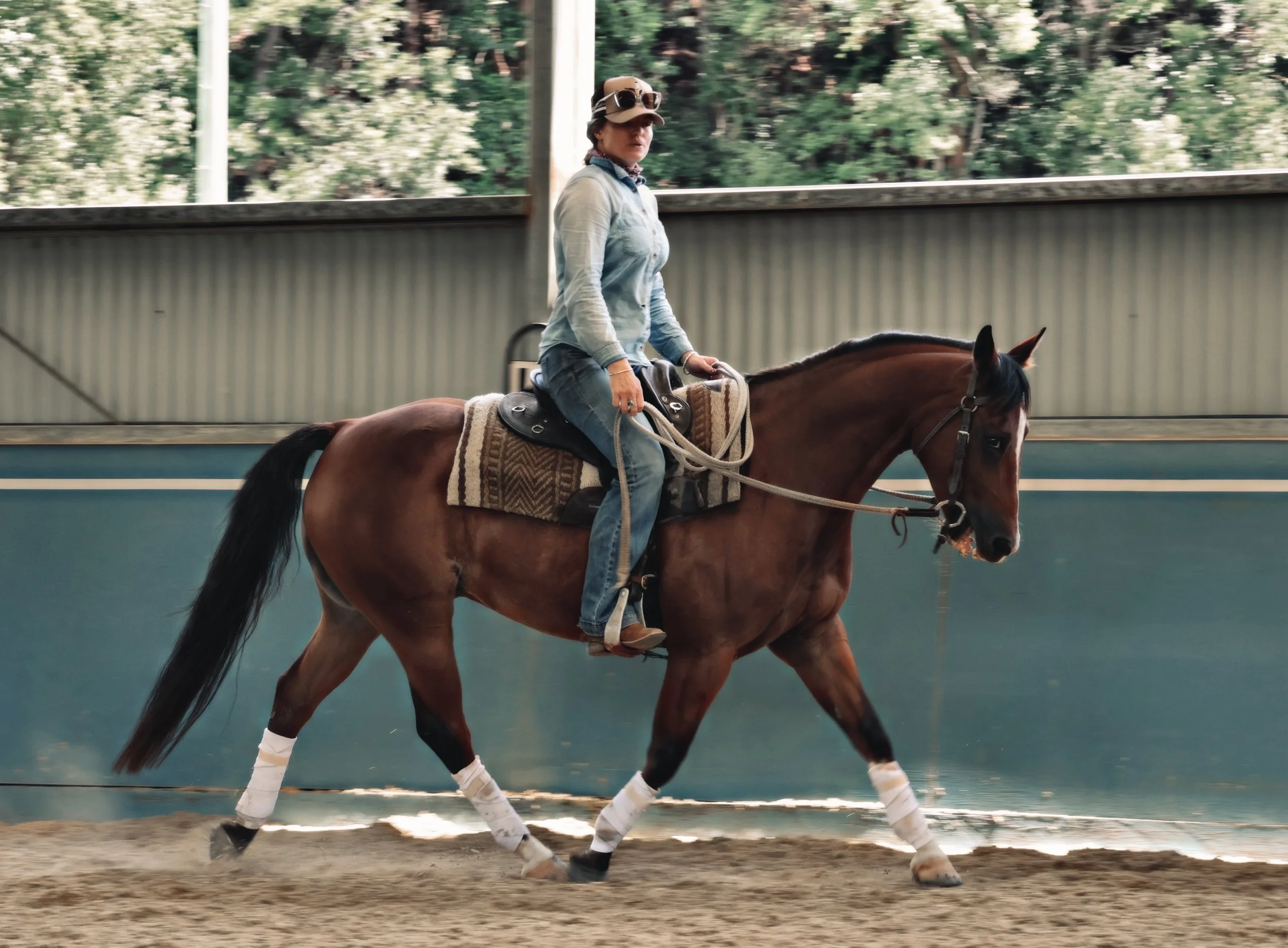 B724D7A0-DF45-4DC2-B362-5F5927D420C0_COLOURTONE 2.jpeg