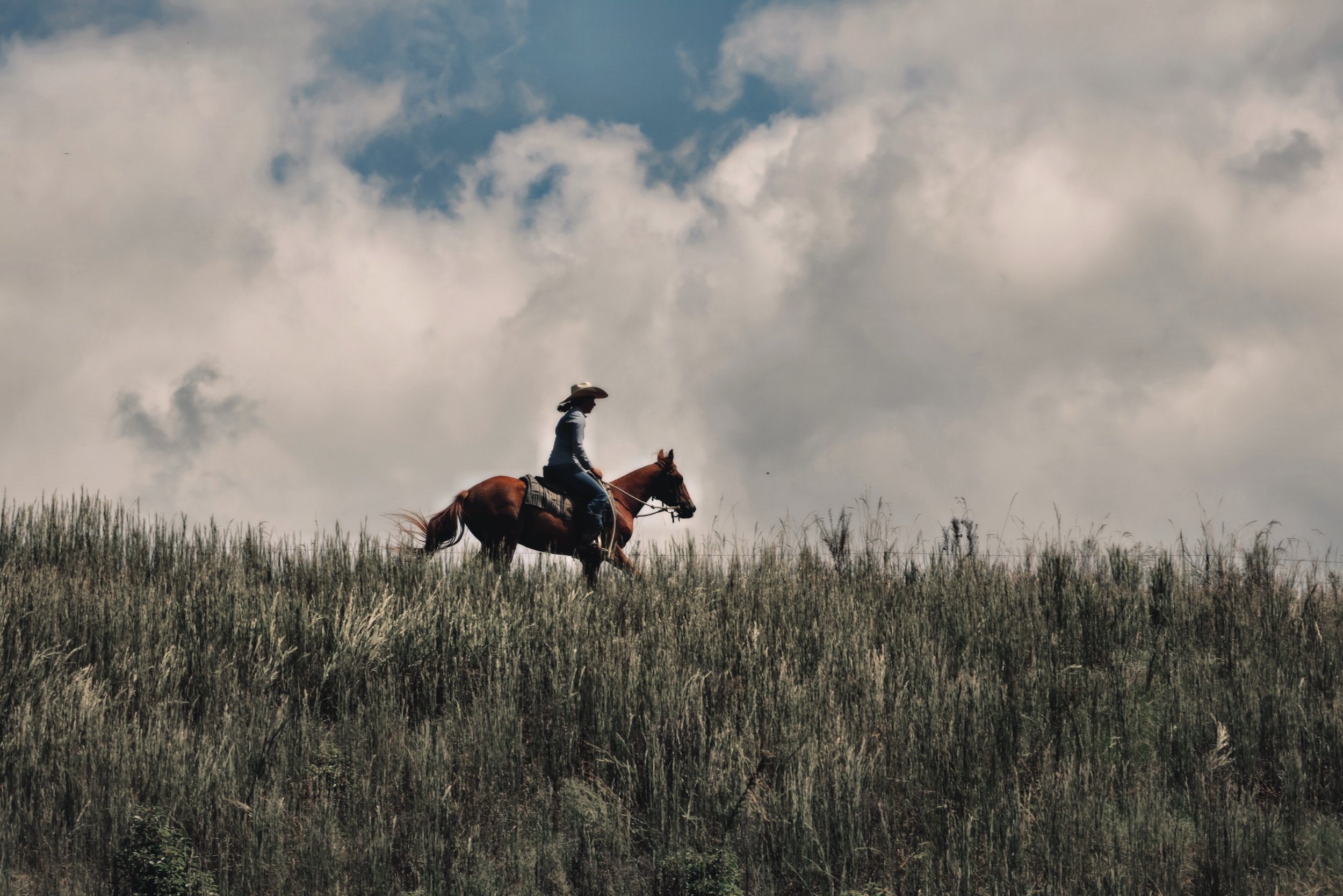 5CD442FC-C7BC-4E7F-A1E2-4C51C595FD61_COLOURTONE 2.jpeg