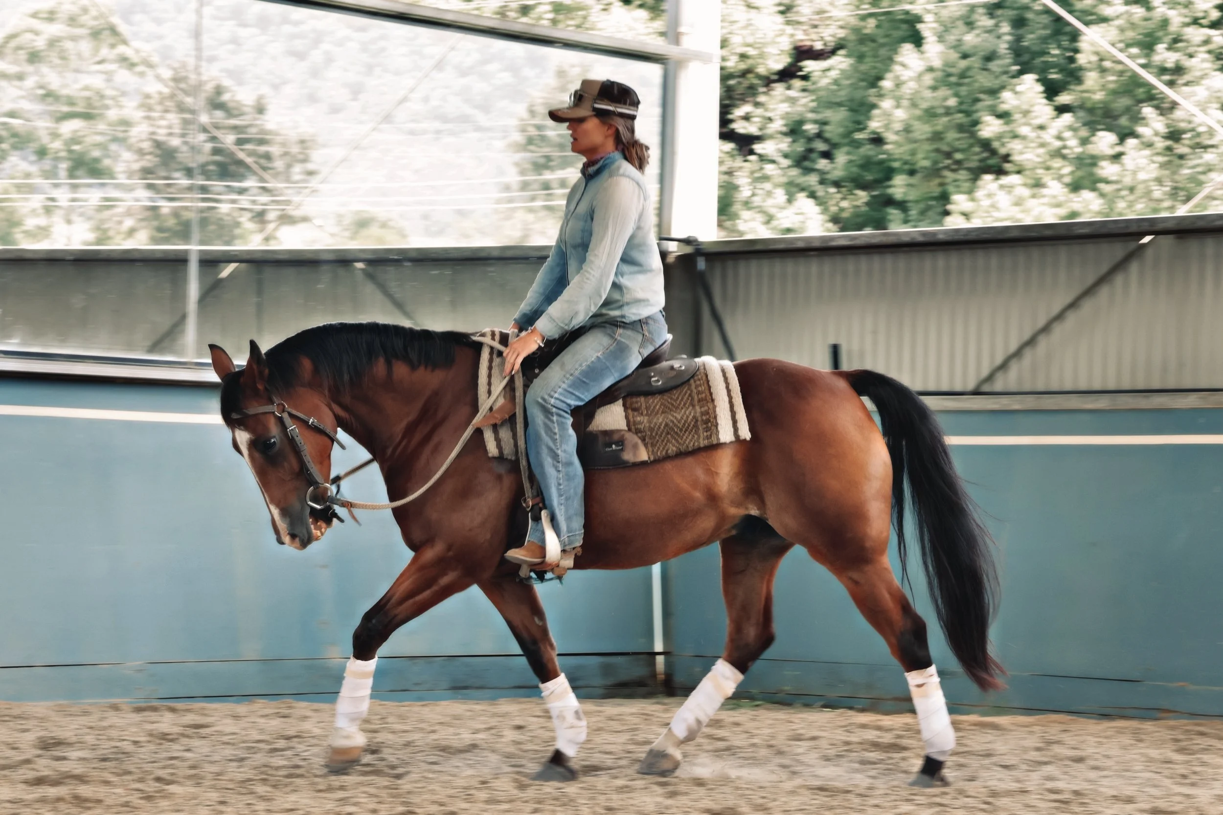 CD4C79C8-E8A0-47C5-8D58-93F8B7F1767D_COLOURTONE 2.jpeg