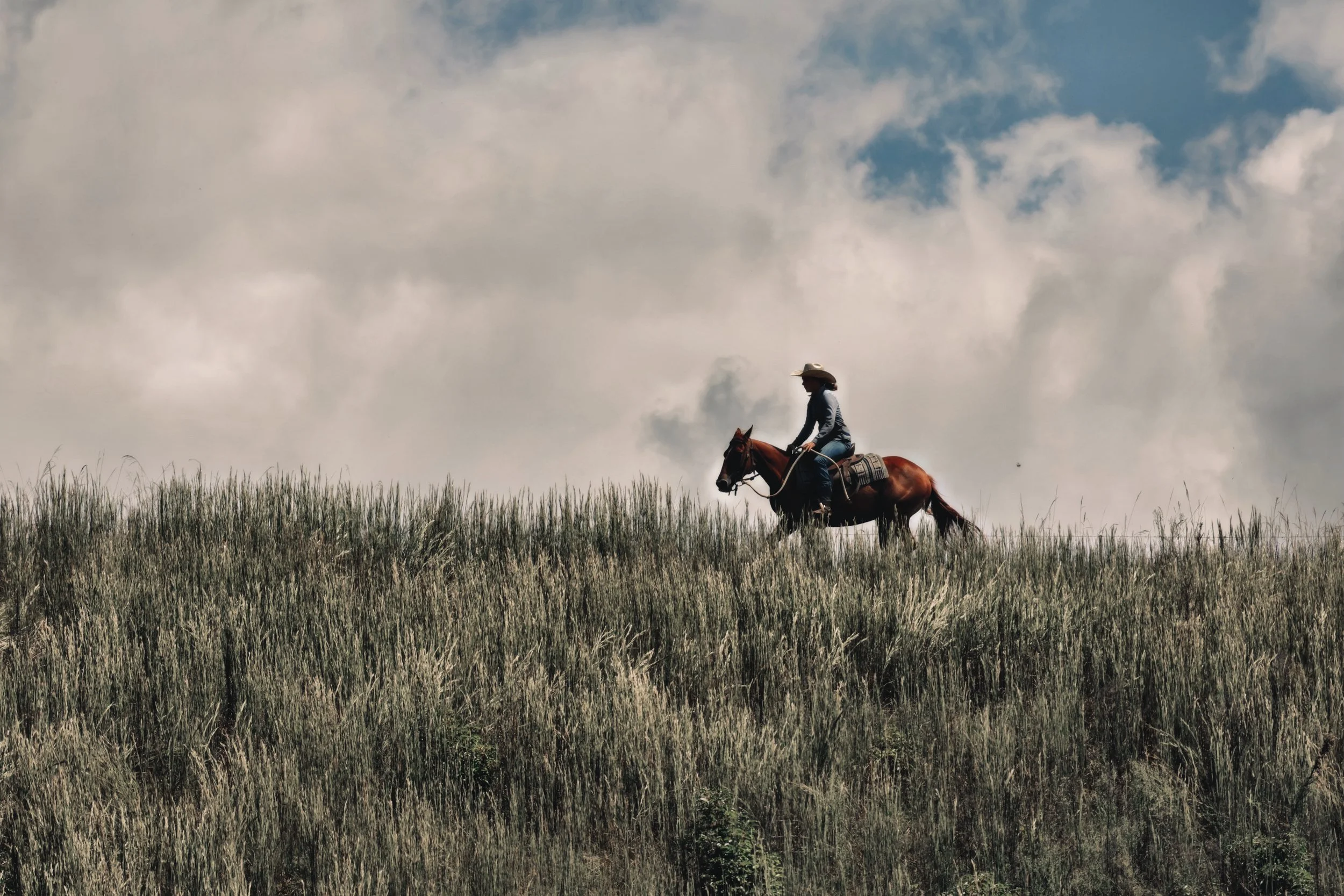 1632FDDD-08AD-41E8-8CCD-B8EFB9741231_COLOURTONE 2.jpeg