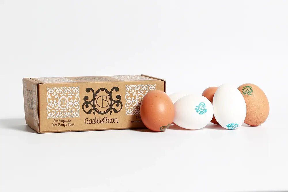 cracklebean-free-range-eggs.webp.jpeg