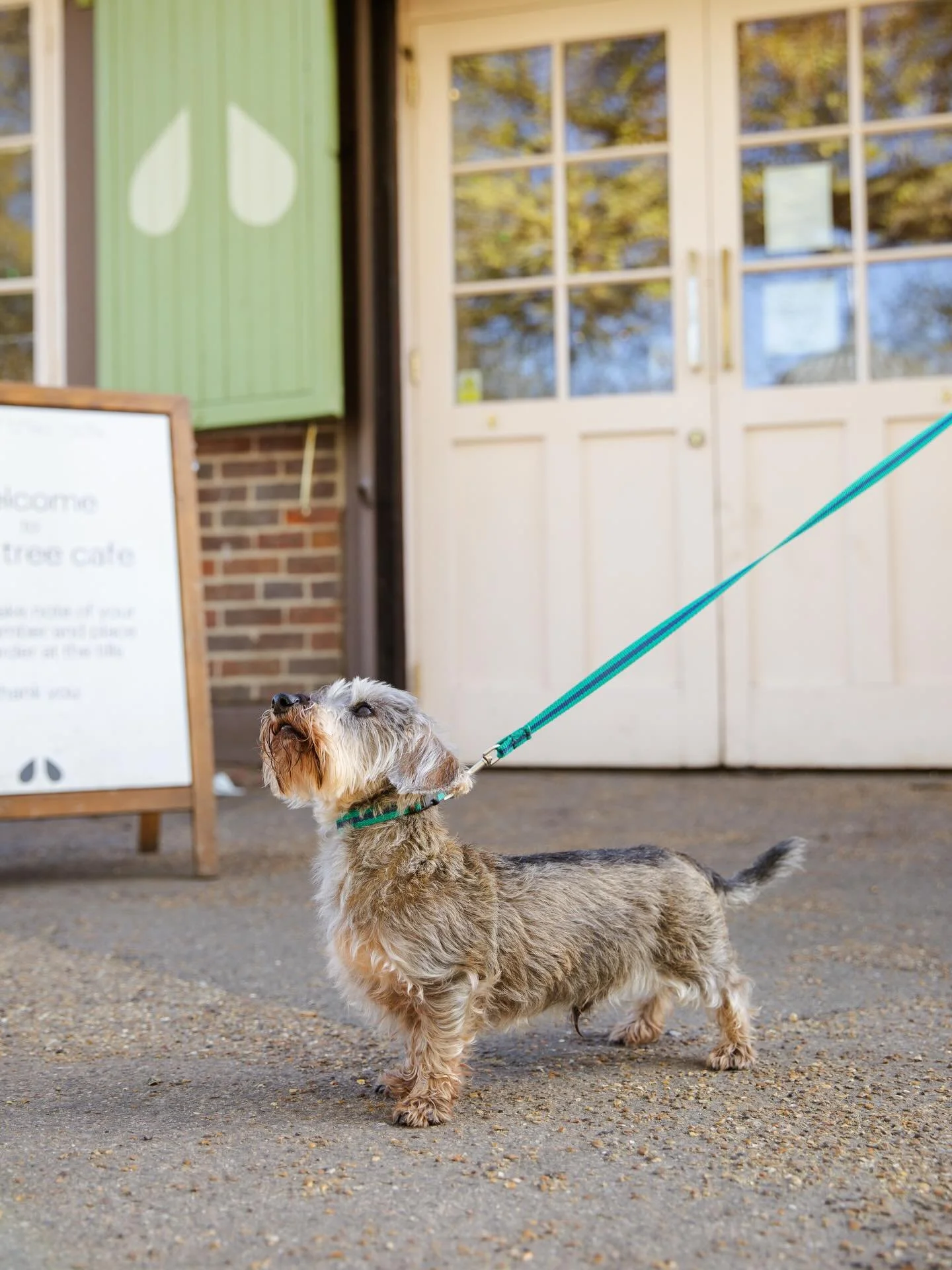 Sunday mornings on Clapham Common 🐶☀️

Dog walks, iced coffee and slow starts - just how we like it 😌