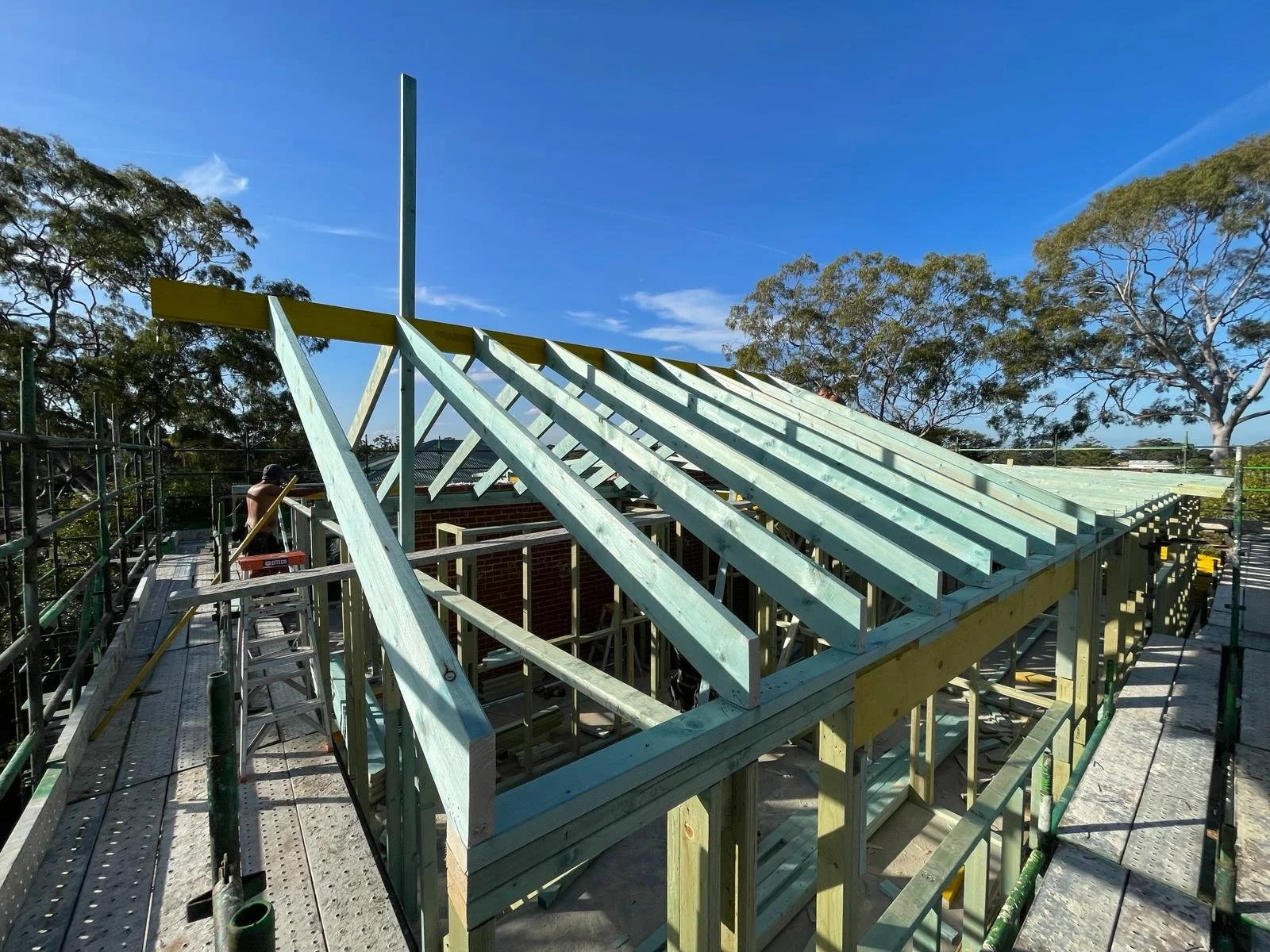 WhatsApp Image 2024-05-15 at 2.44.24 PM.jpeg