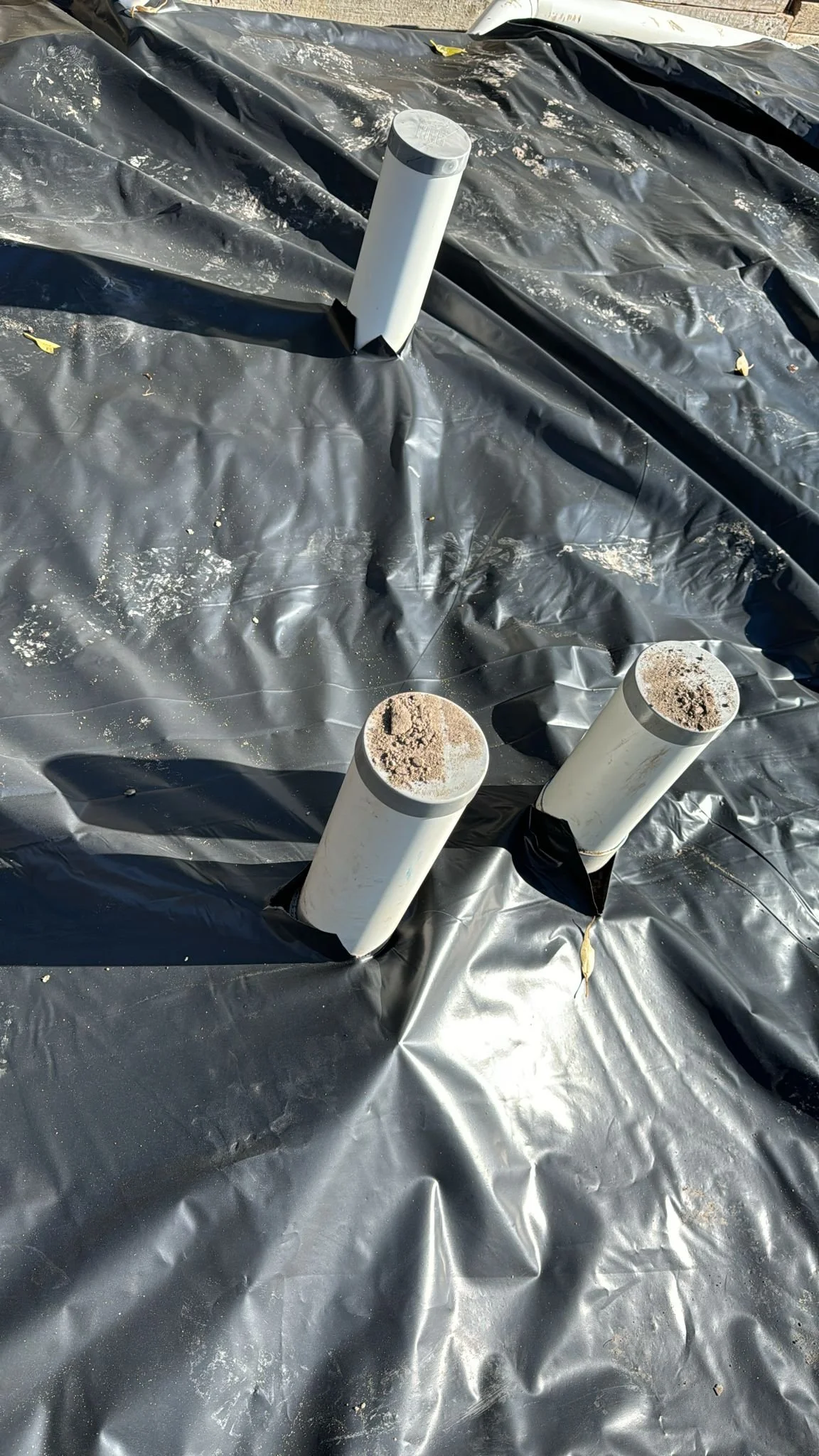 WhatsApp Image 2024-05-27 at 10.13.39 AM.jpeg