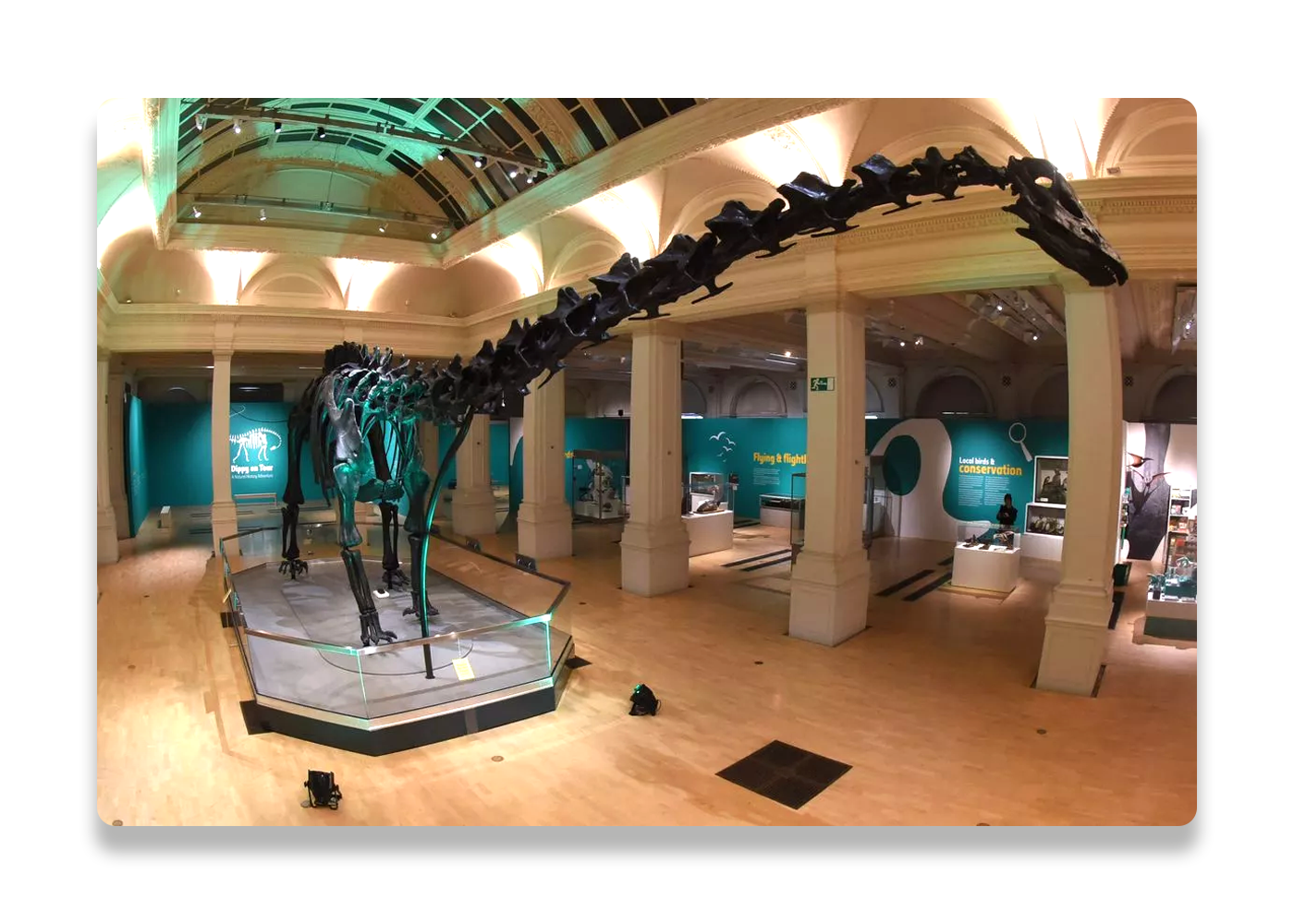 Dippy-Case-Study-7.png