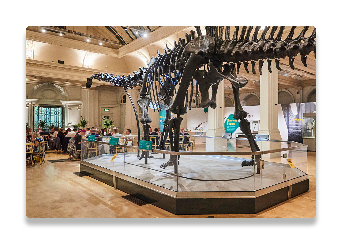 Dippy-Case-Study-8.png