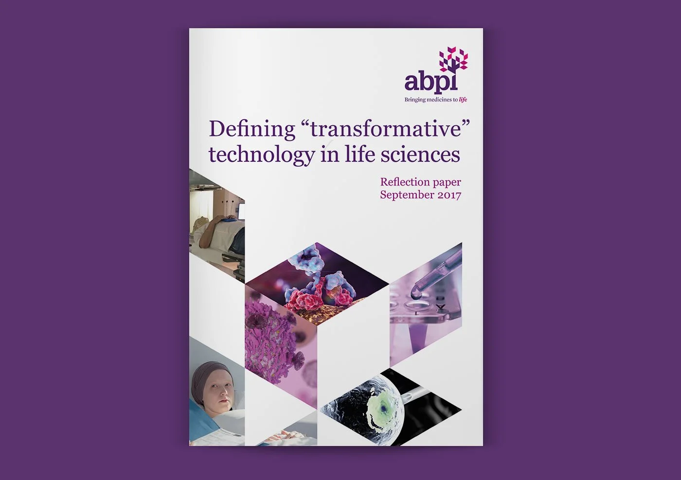 ABPI-Cover.jpg