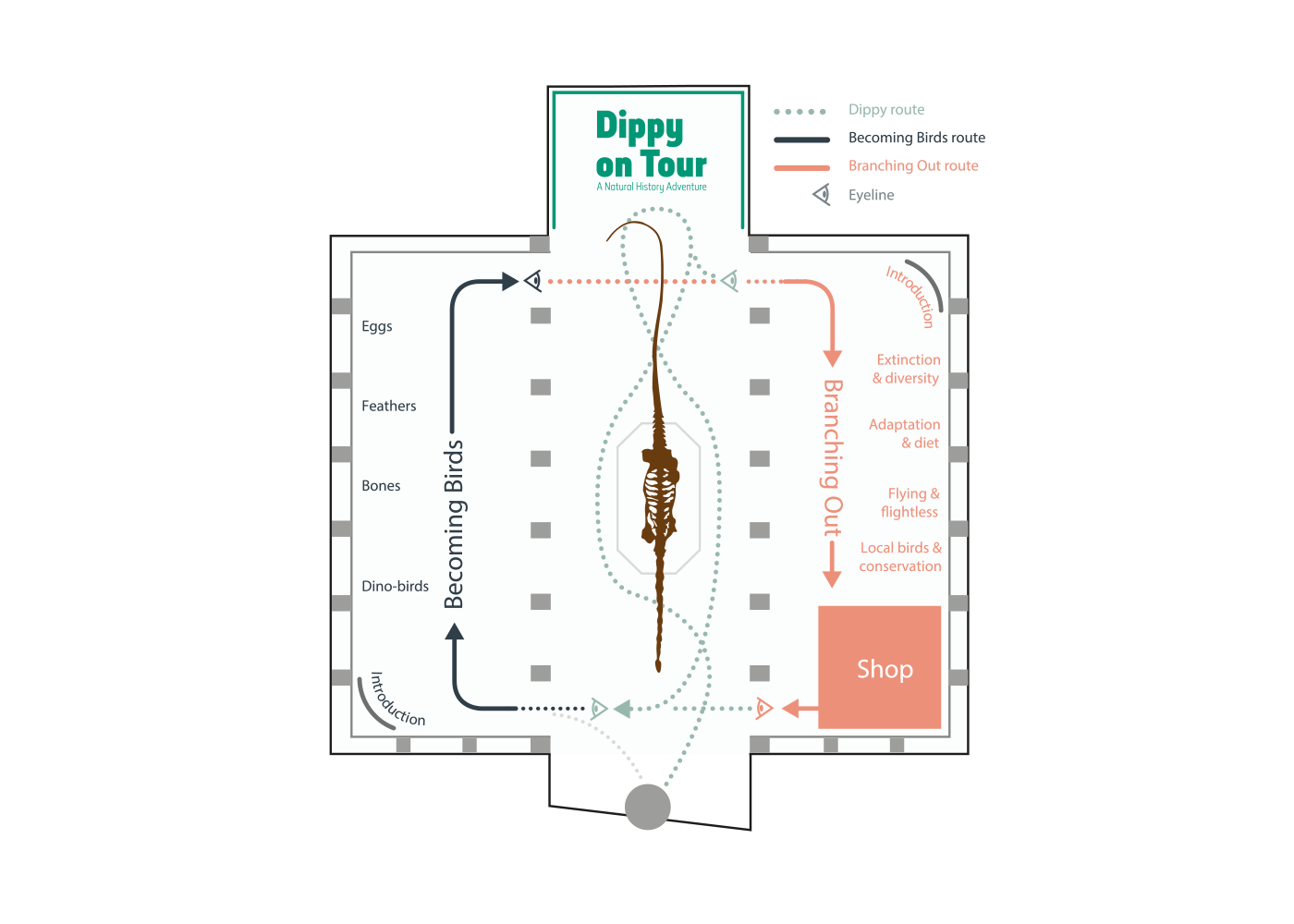 Dippy-Case-Study-Plan.png