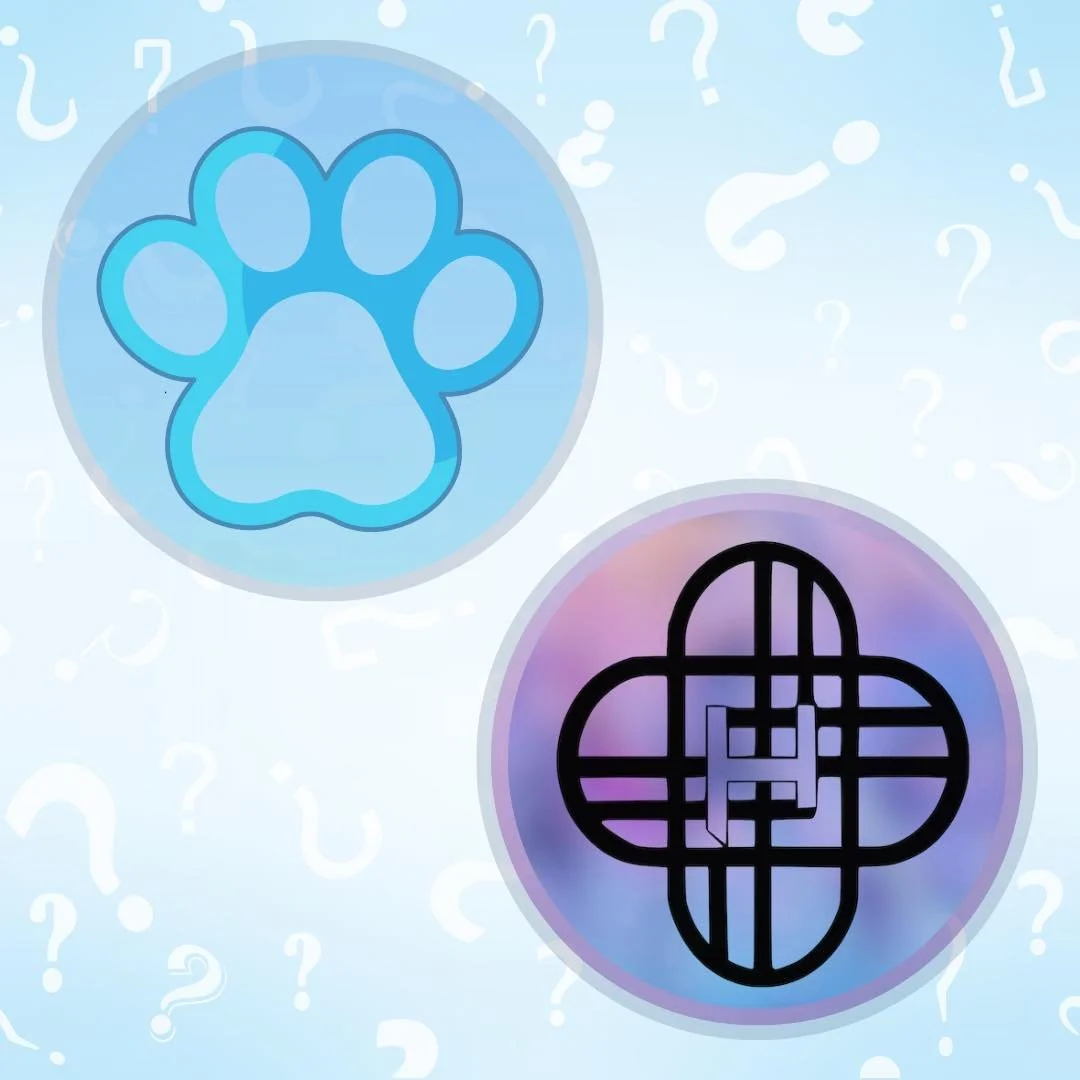 What could our next packages be&hellip; 👀💜💙

It&rsquo;s time to take your guess before we announce these two magnificent party packages that are sure to make lots of special memories across the Waikato!

Cast your votes in the comments below ⬇️

#
