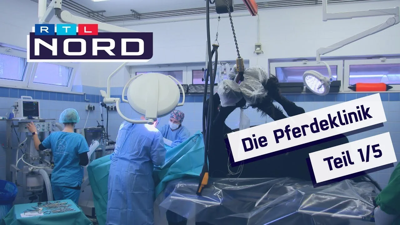 Pferdemedizin hautnah – Fünf RTL-Dokufolgen zeigen Klinikalltag, wir zeigen, was bei Rennpferden wirklich zählt