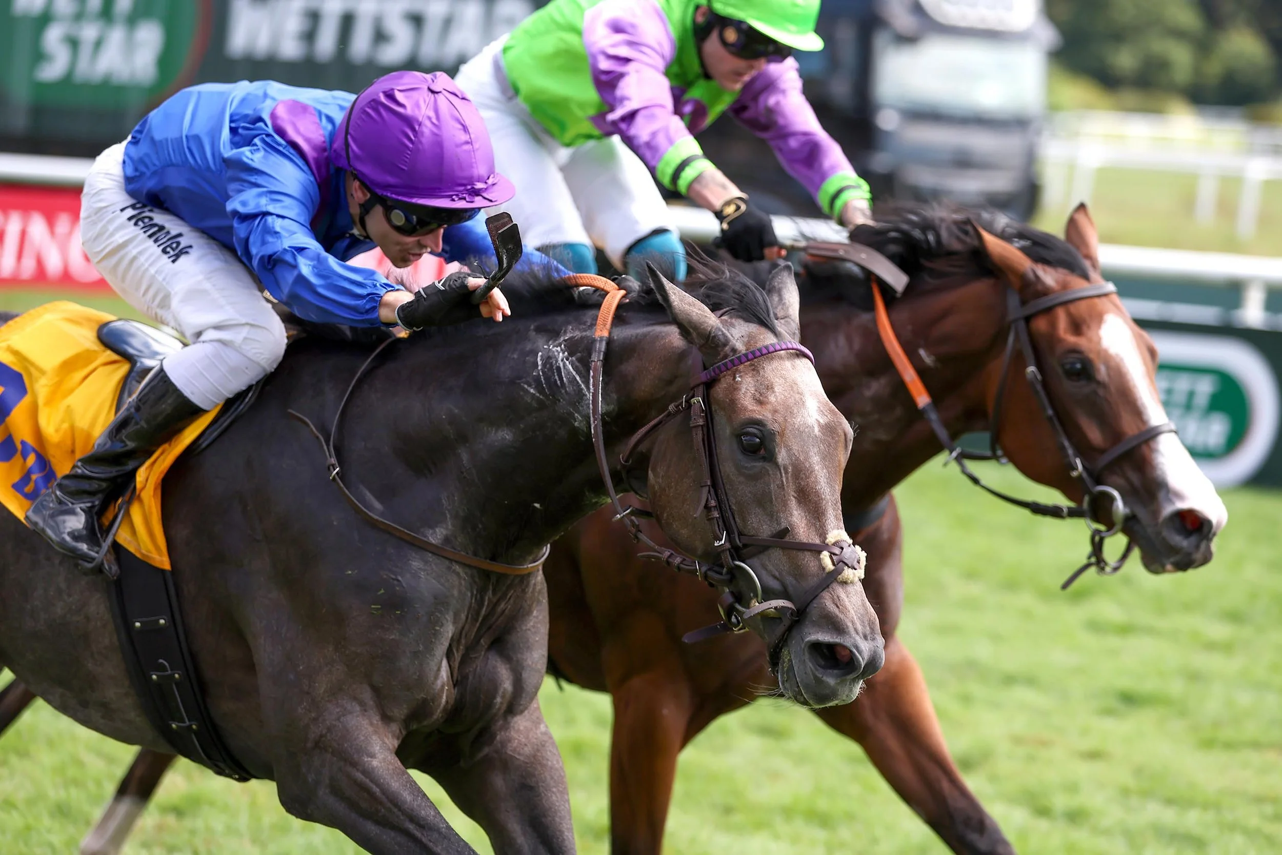 Coco Soleil begeistert mit starkem 2. Platz im 100.000 Euro-Rennen in Baden-Baden