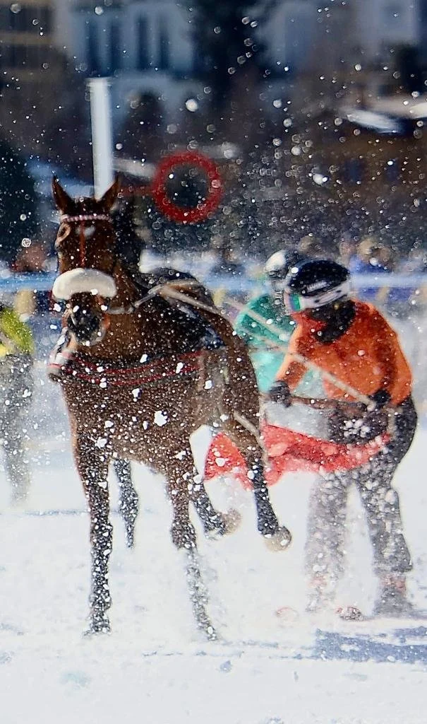 WhatsApp Image 2025-10-17 at 17.32.11.jpeg