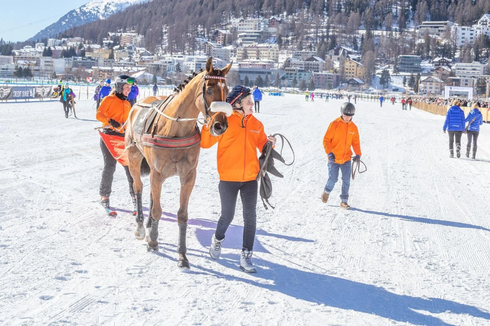 WhatsApp Image 2025-10-17 at 17.31.51.jpeg