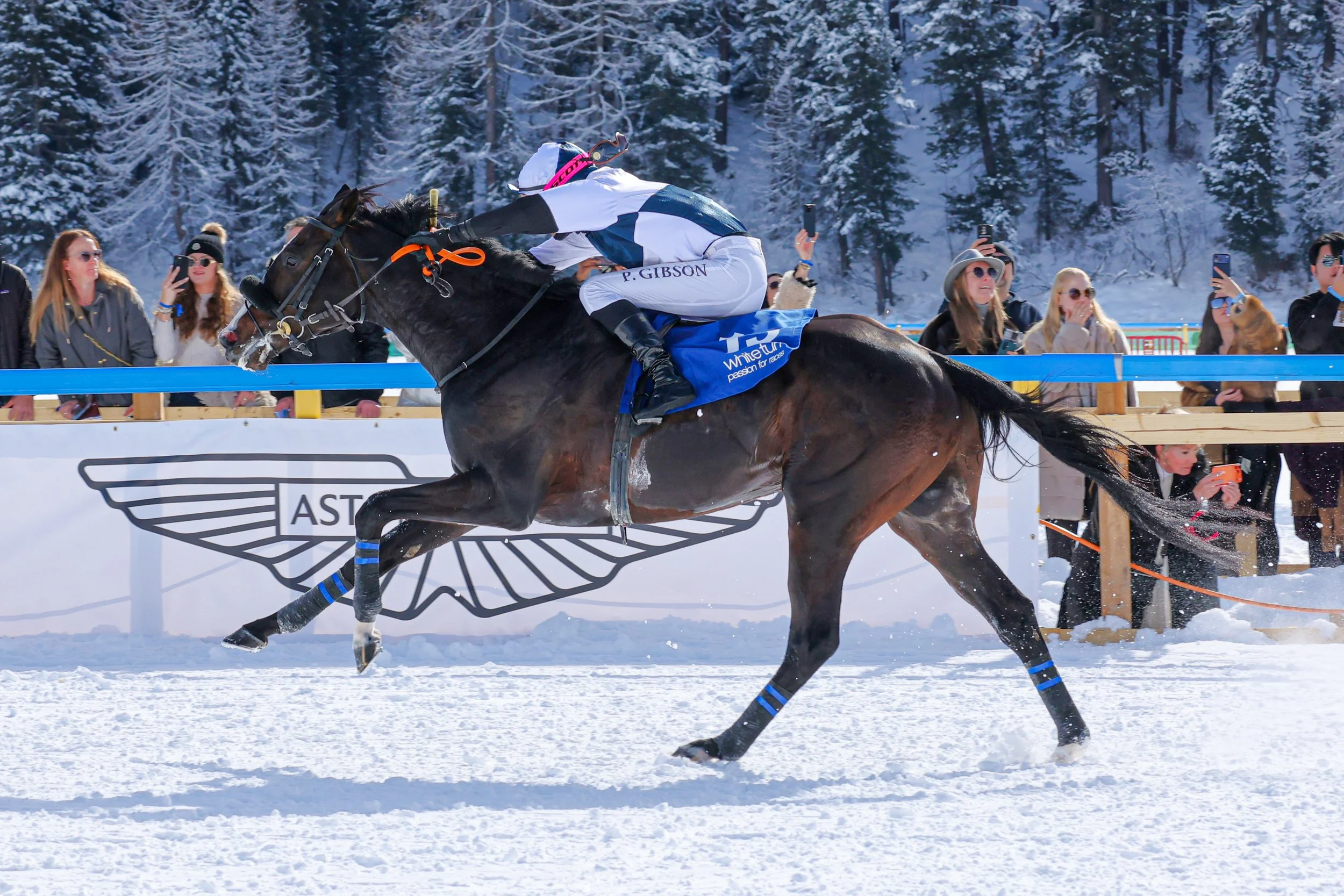 White turf 3 Race Sunday_Christian Mettler_2.jpg