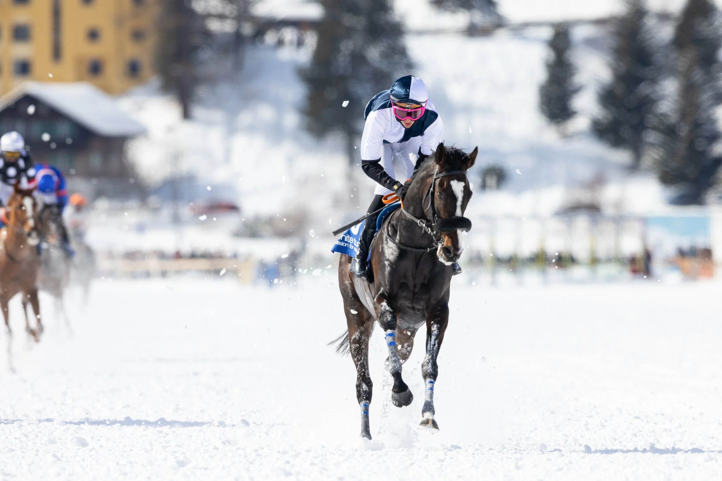 whiteturf_22.02.2026_-64_Andrea Furger..jpg