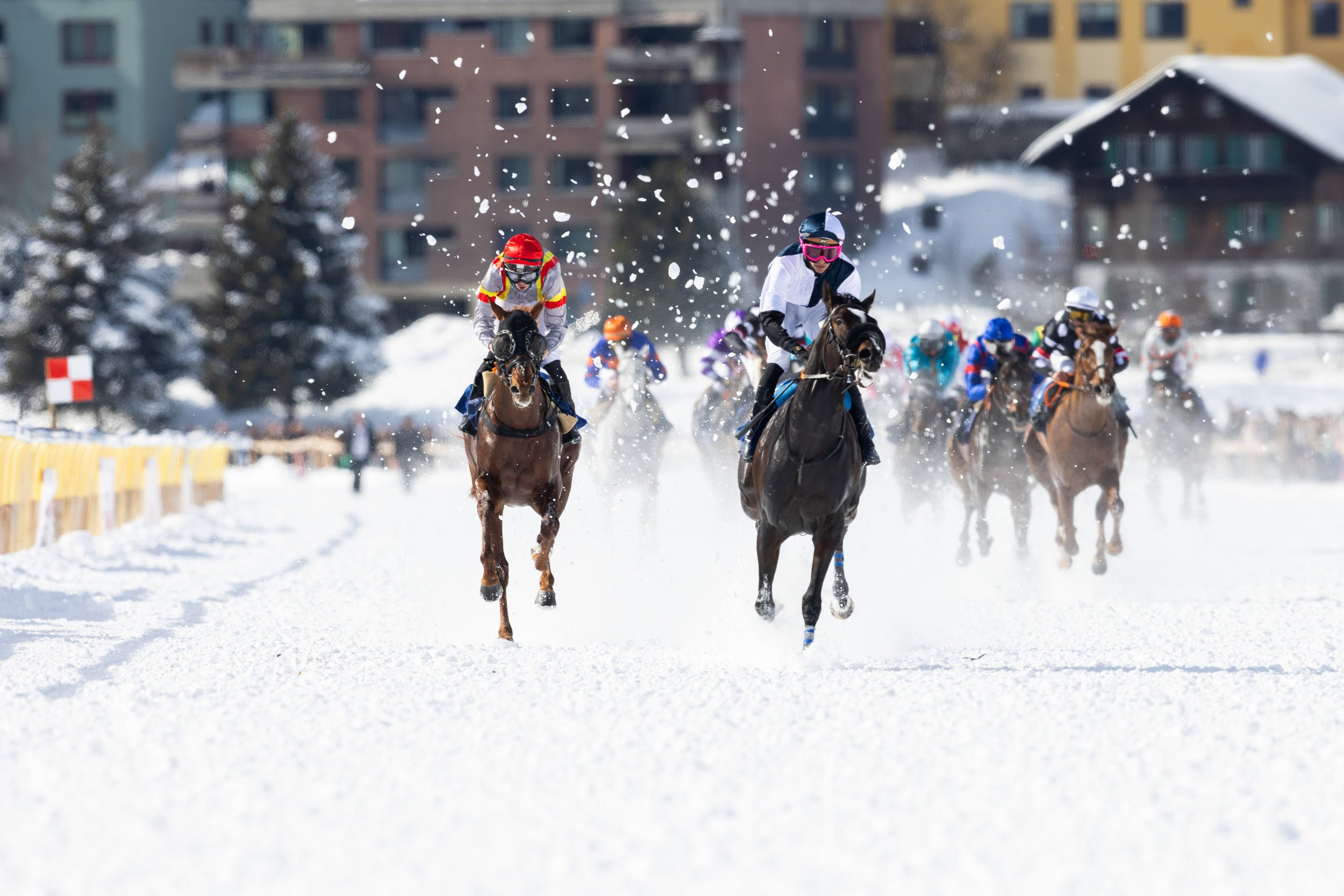 whiteturf_22.02.2026_-62_Andrea Furger.jpg