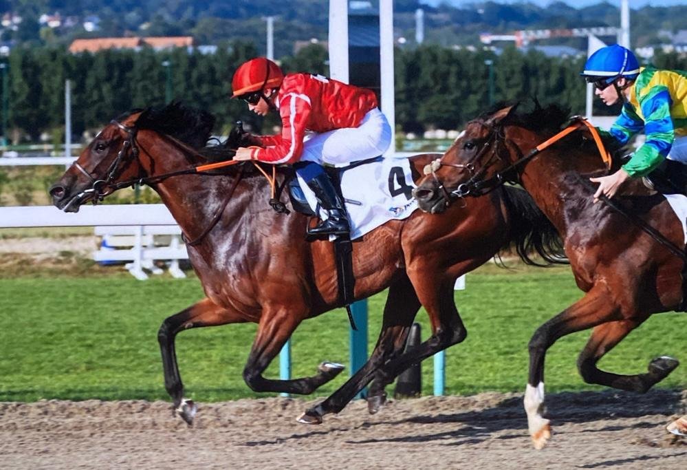 WhatsApp Image 2026-04-01 at 13.42.24 (1).jpeg