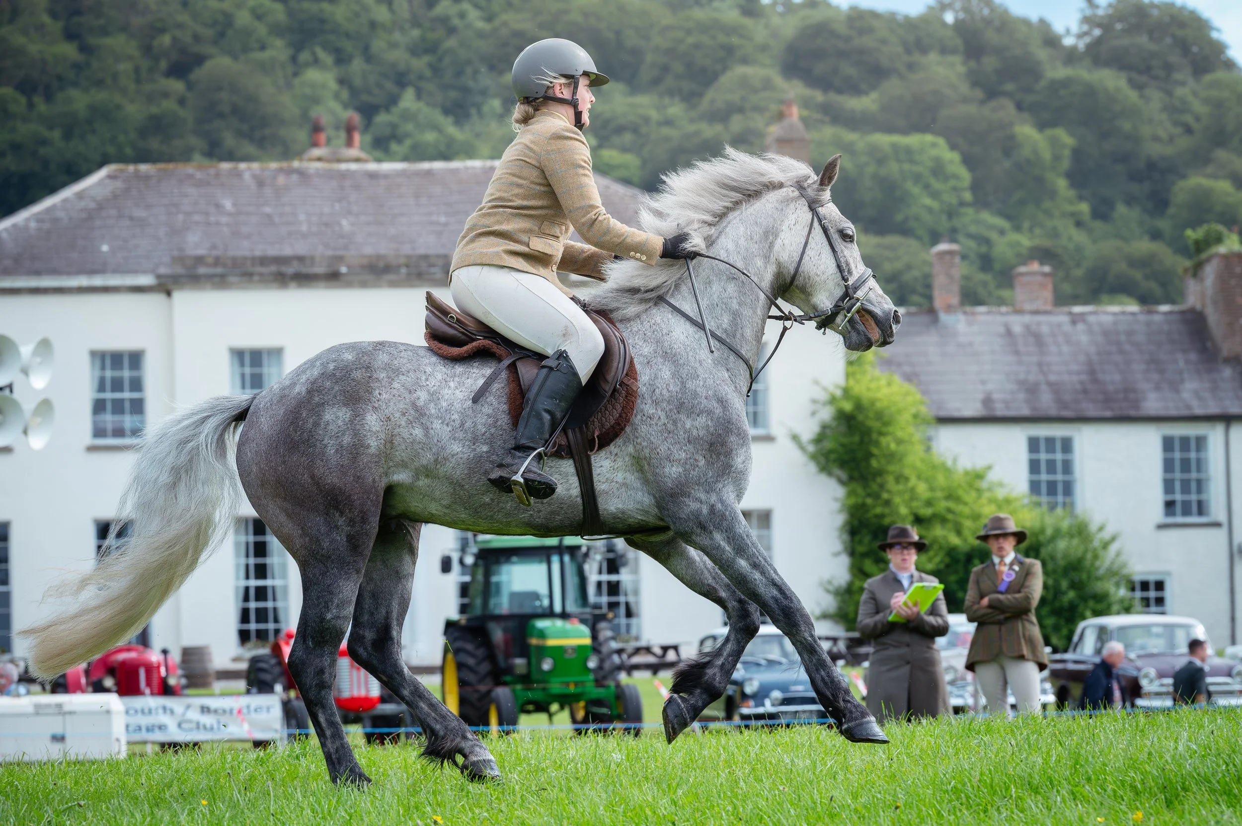 260614_Dundalk_Show_Horses_002.jpg