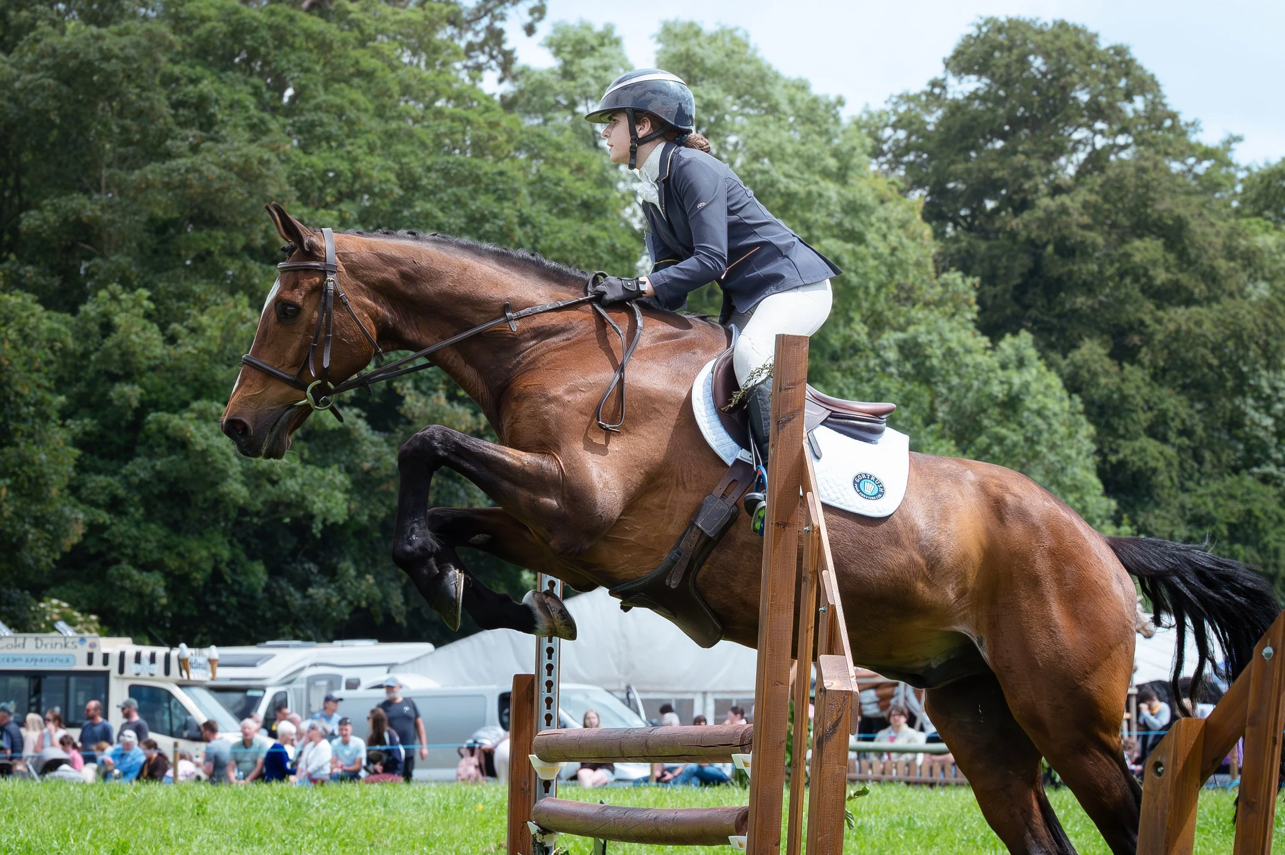 260614_Dundalk_Show_Horses_013.jpg
