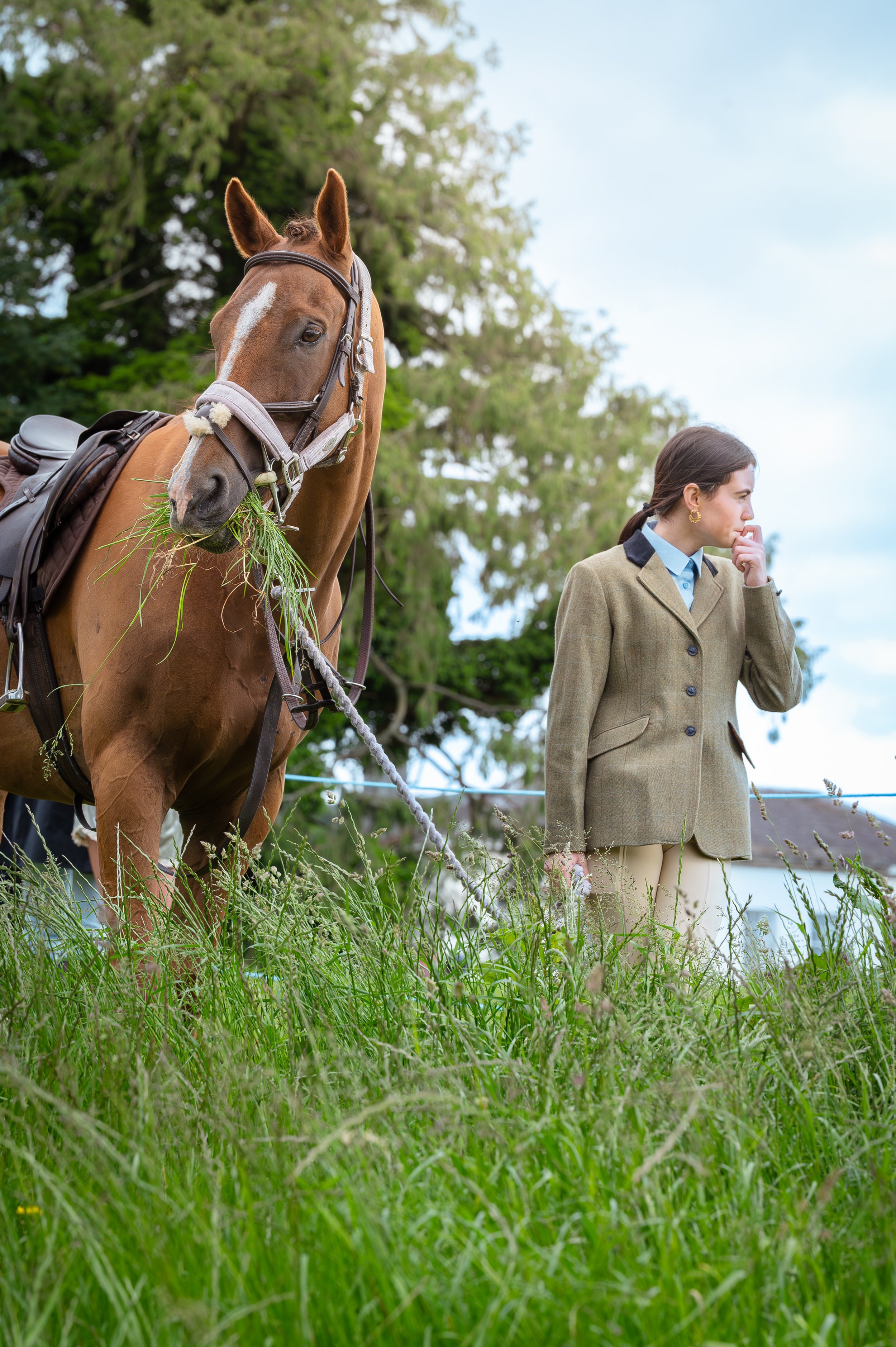 260614_Dundalk_Show_Horses_011.jpg