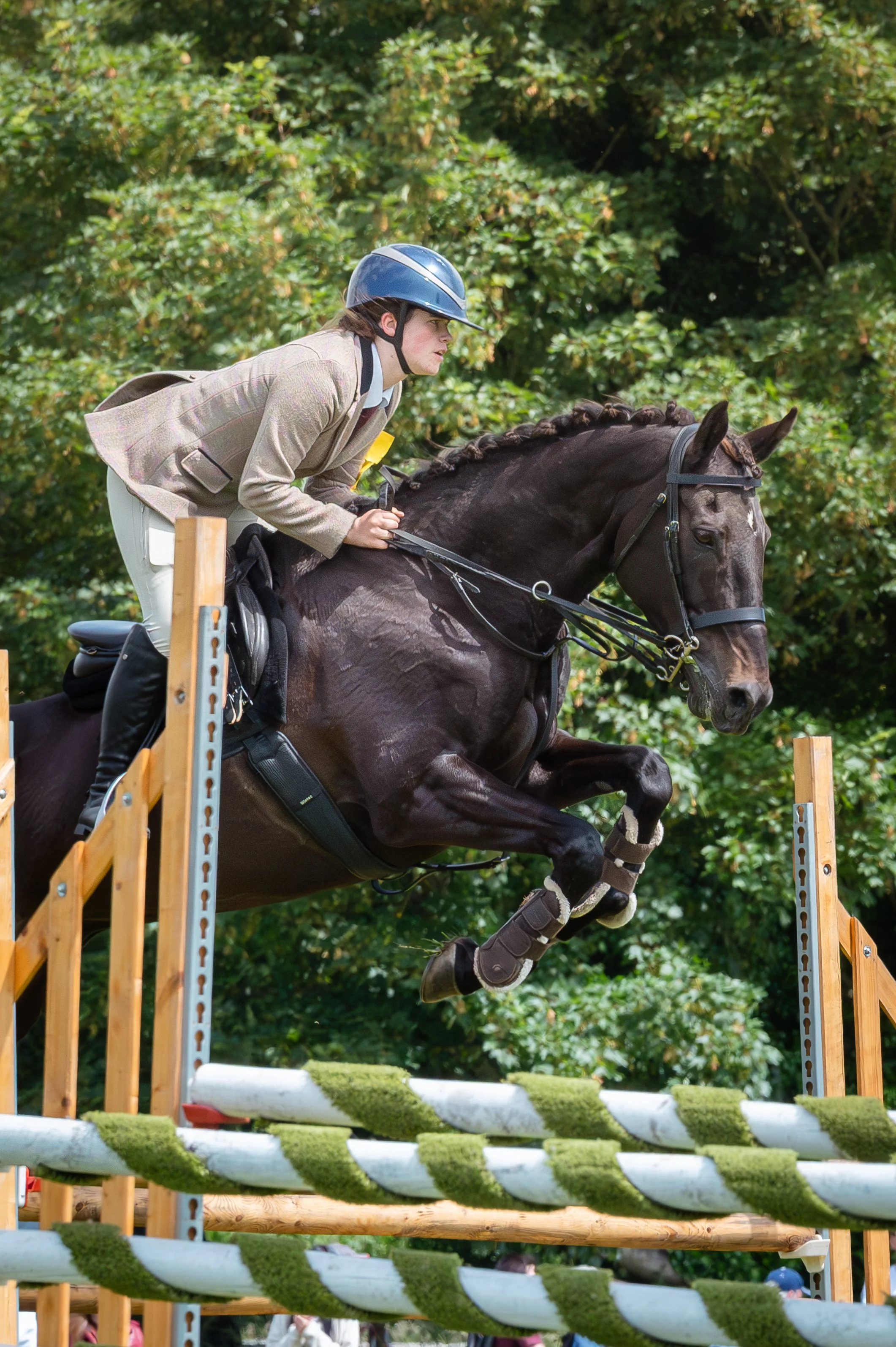 260614_Dundalk_Show_Horses_017.jpg