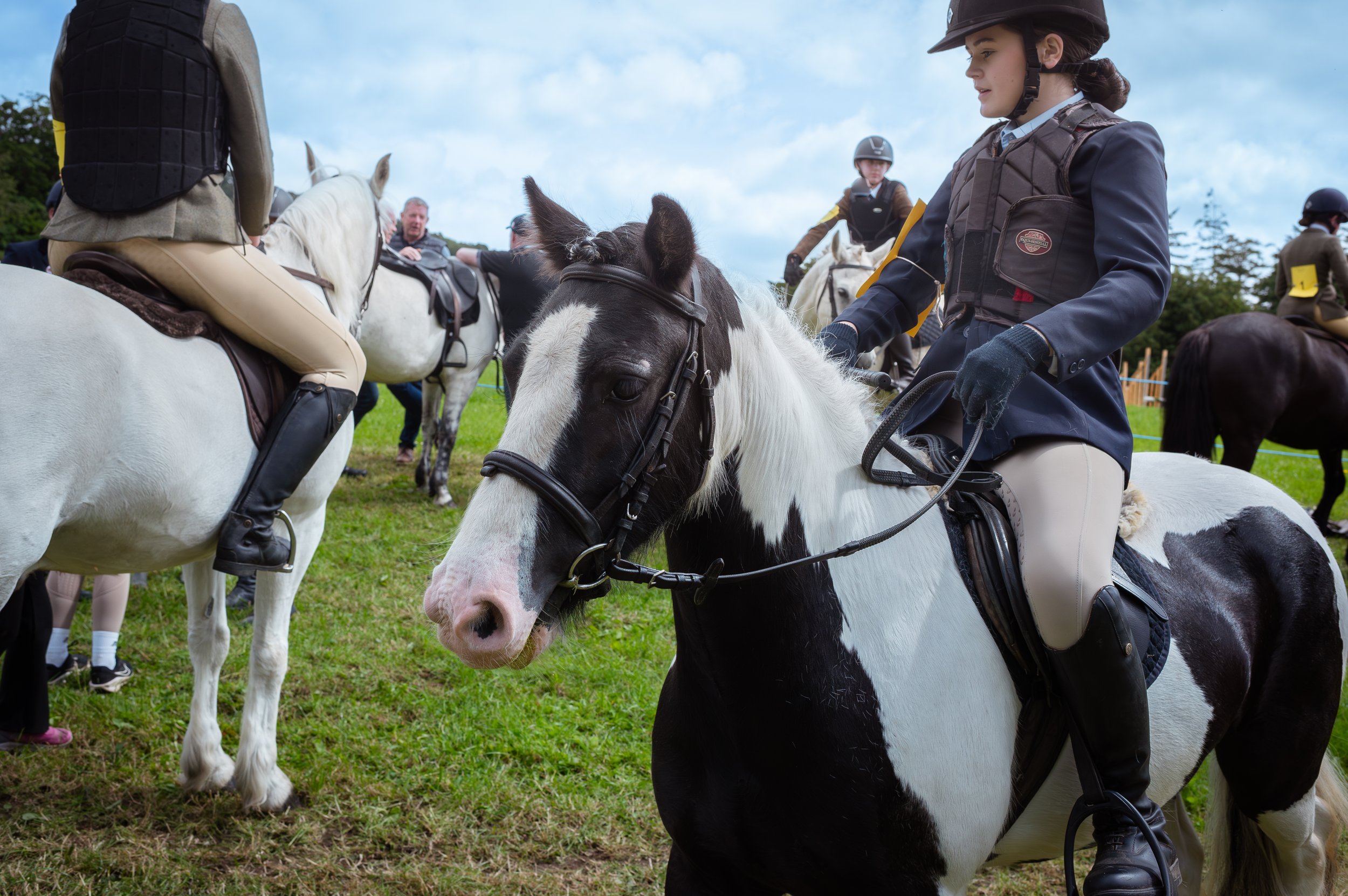 260614_Dundalk_Show_Horses_009.jpg