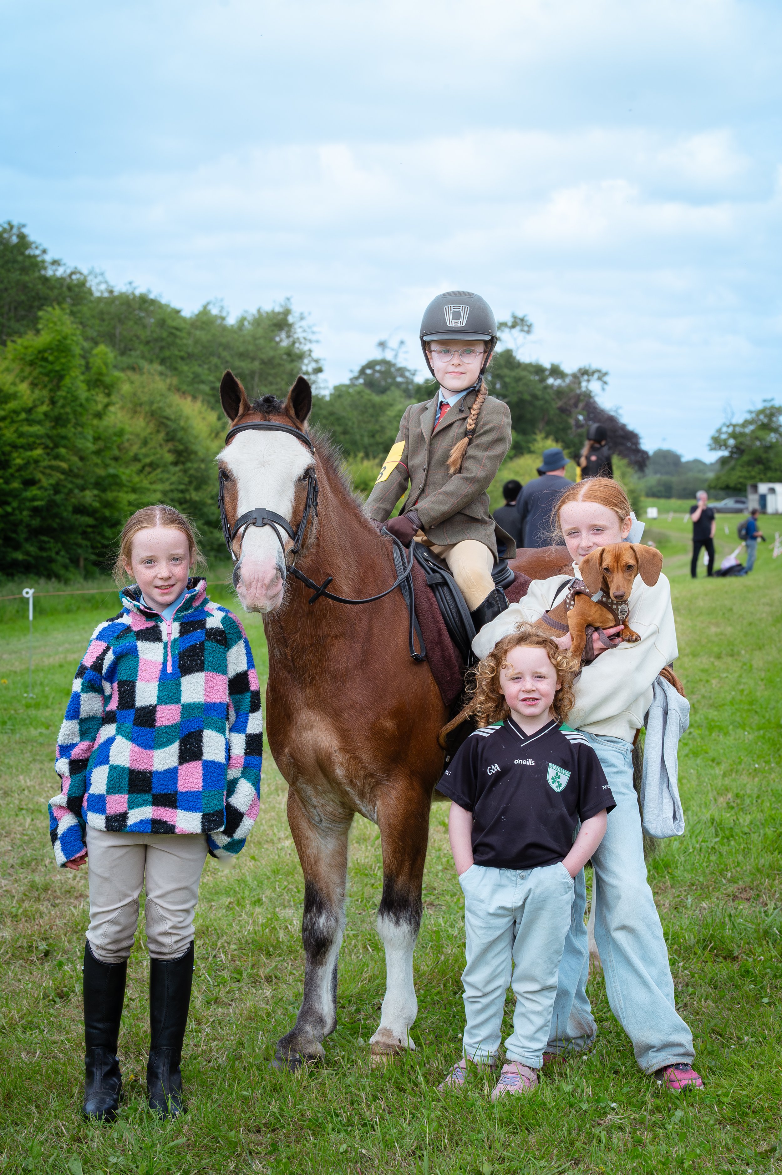 260614_Dundalk_Show_Horses_007.jpg