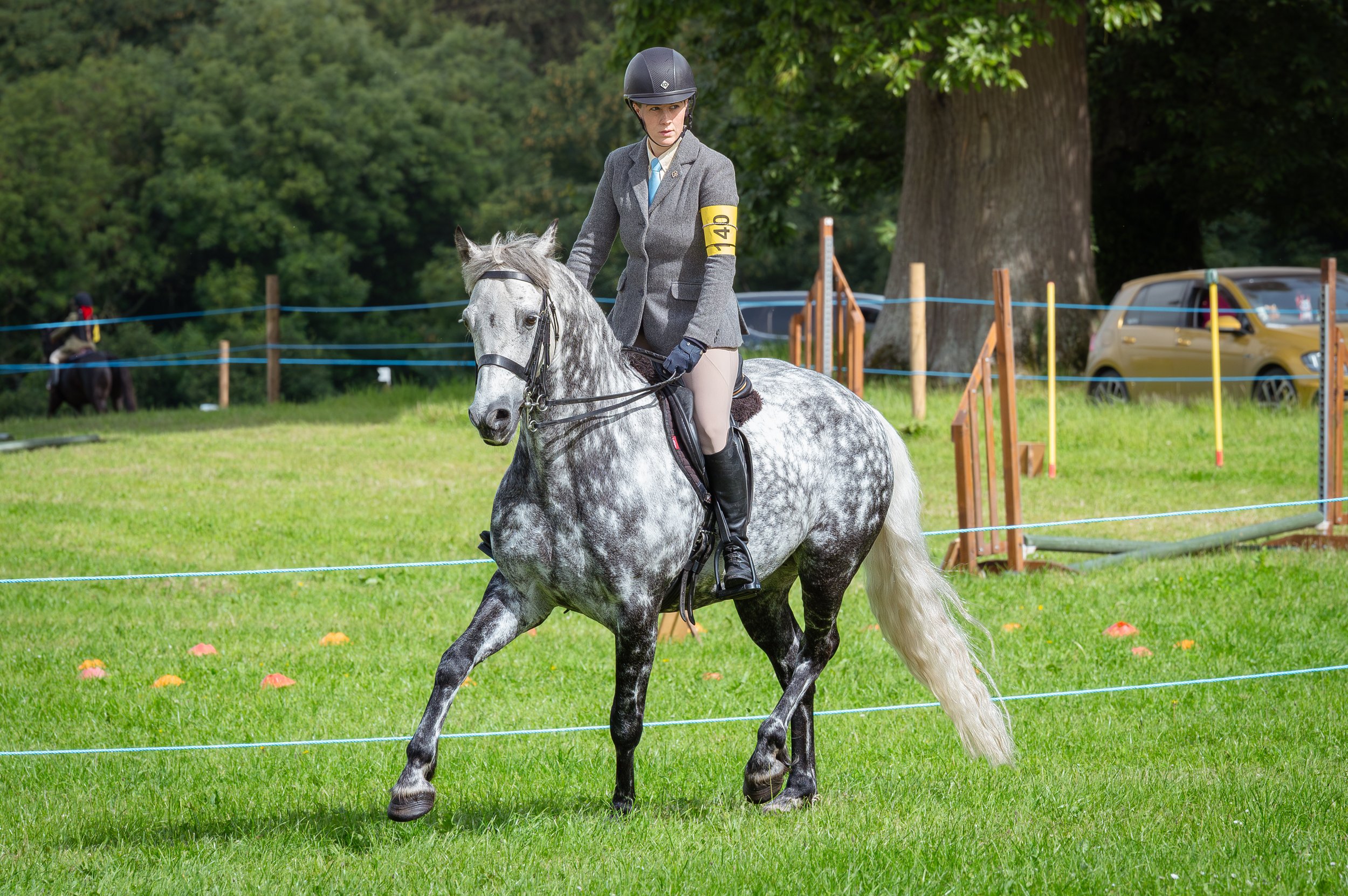 260614_Dundalk_Show_Horses_004.jpg