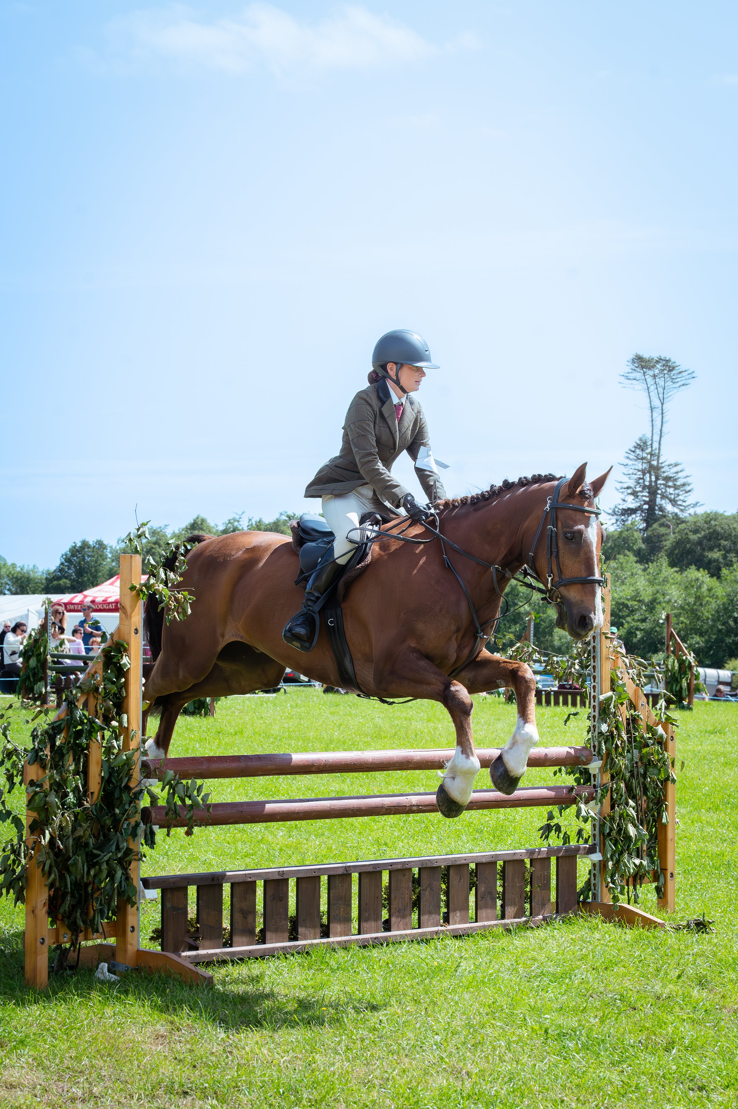 260614_Dundalk_Show_Horses_020.jpg