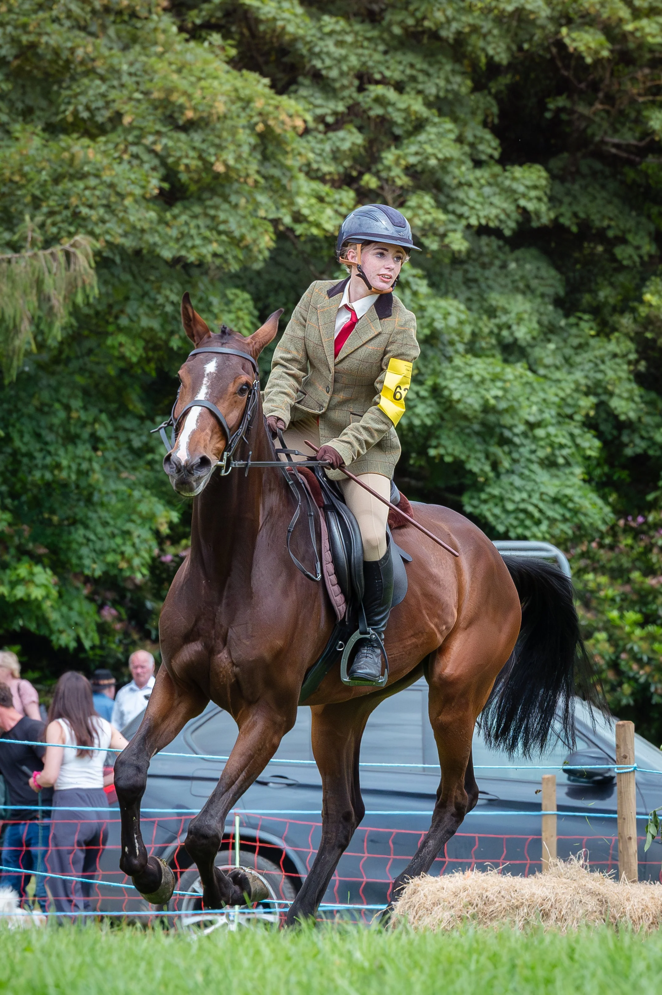 260614_Dundalk_Show_Horses_015.jpg