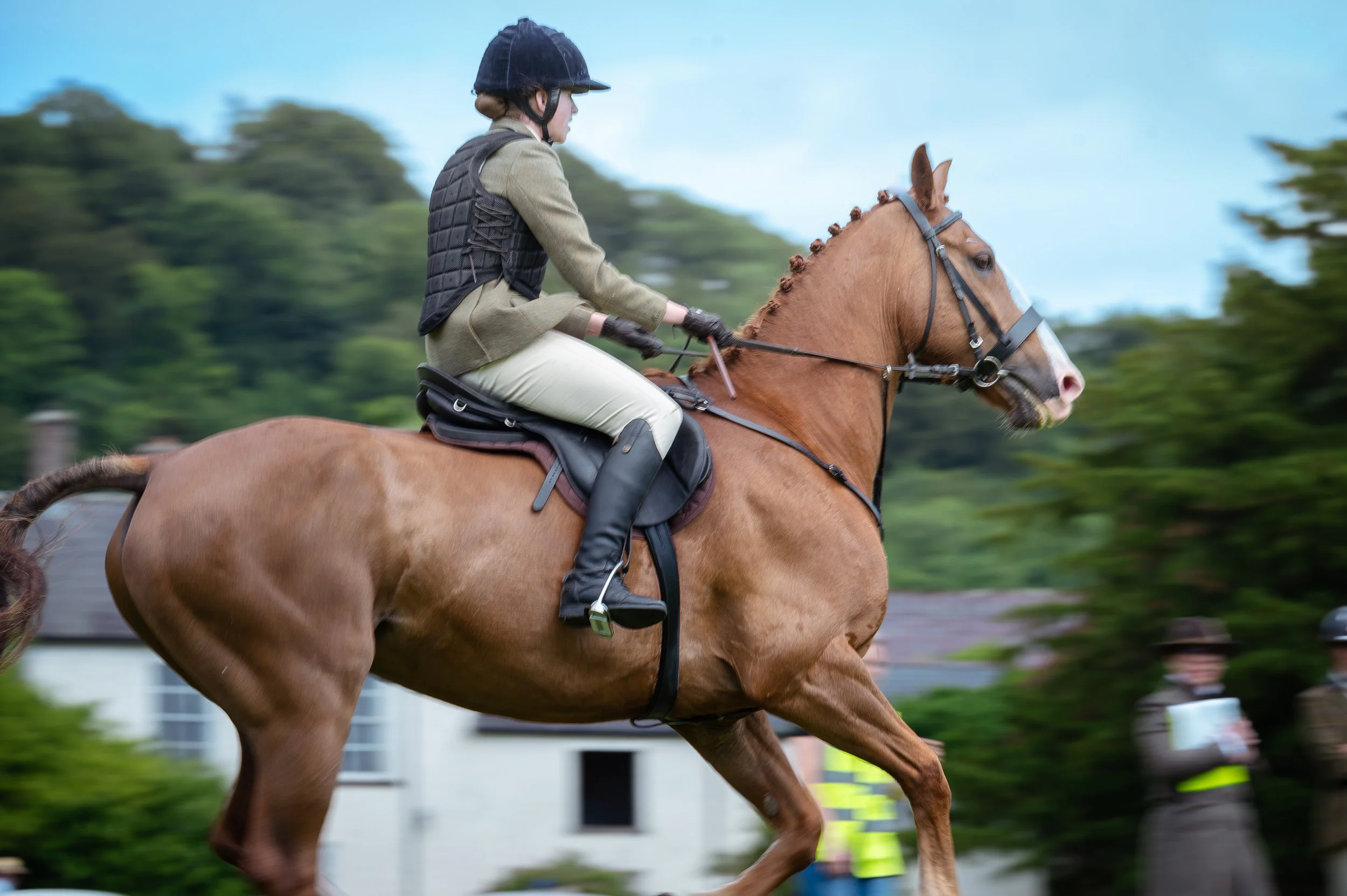 260614_Dundalk_Show_Horses_016.jpg