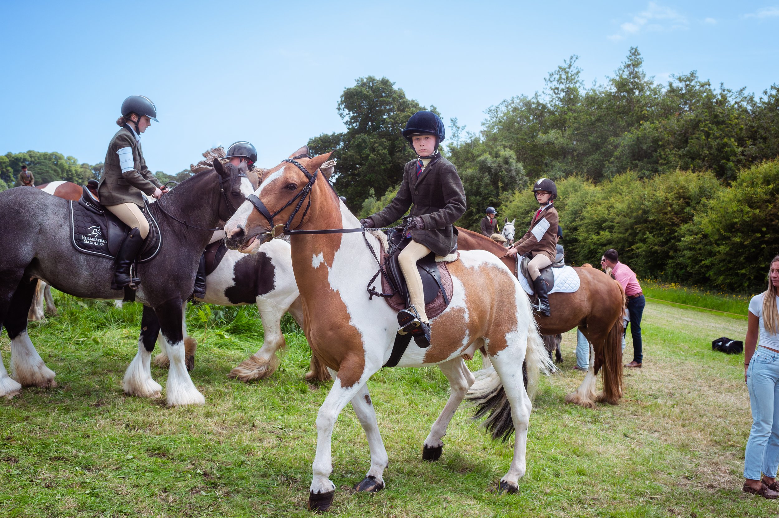 260614_Dundalk_Show_Horses_018.jpg
