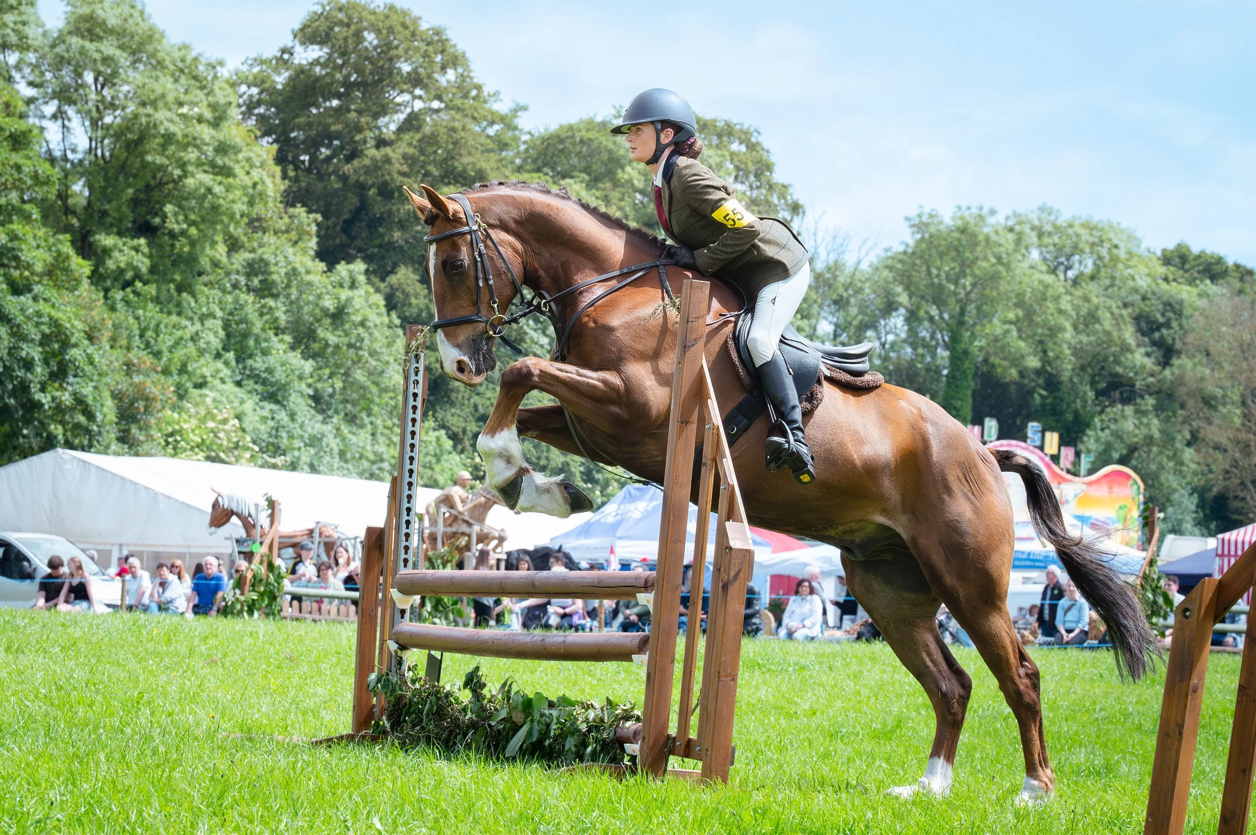 260614_Dundalk_Show_Horses_012.jpg