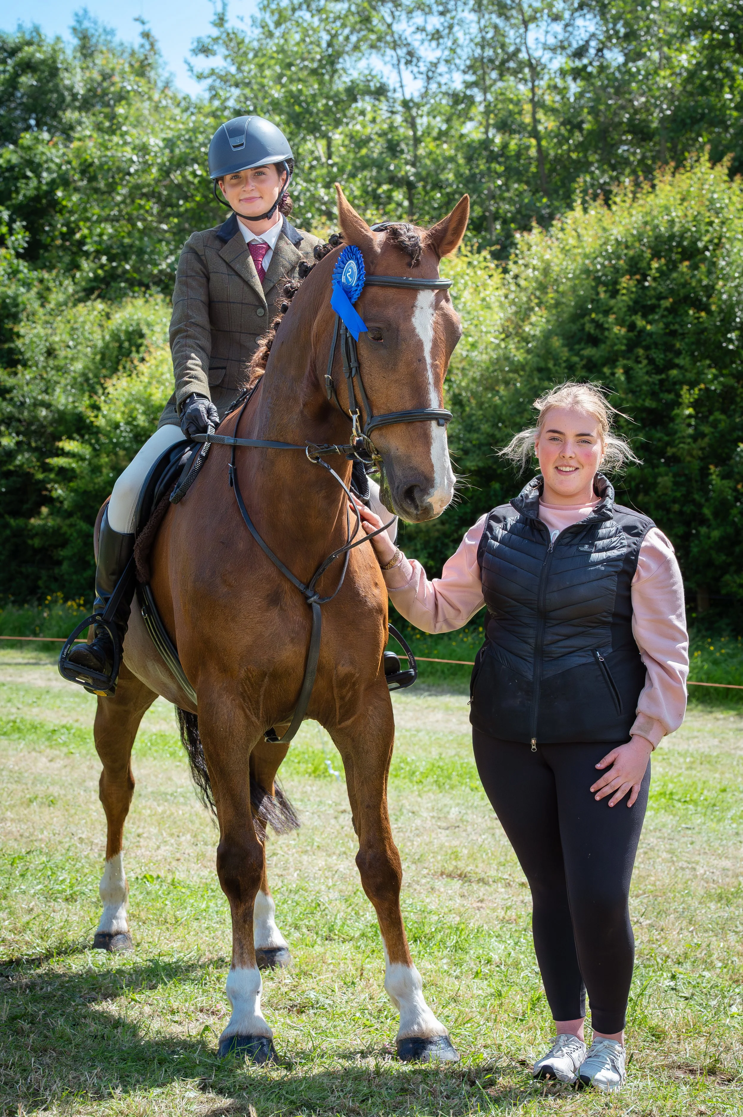 260614_Dundalk_Show_Horses_023.jpg