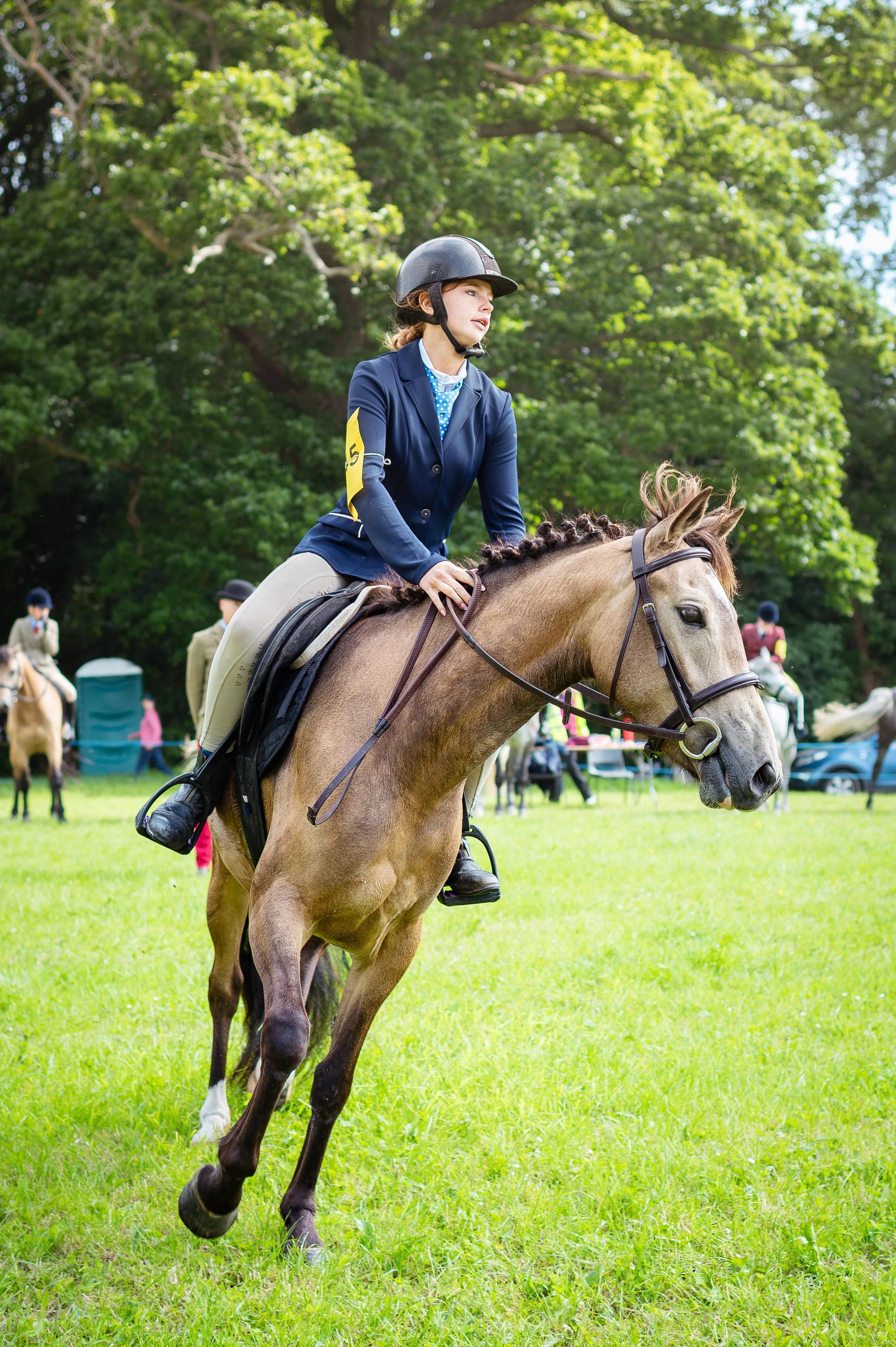 260614_Dundalk_Show_Horses_006.jpg
