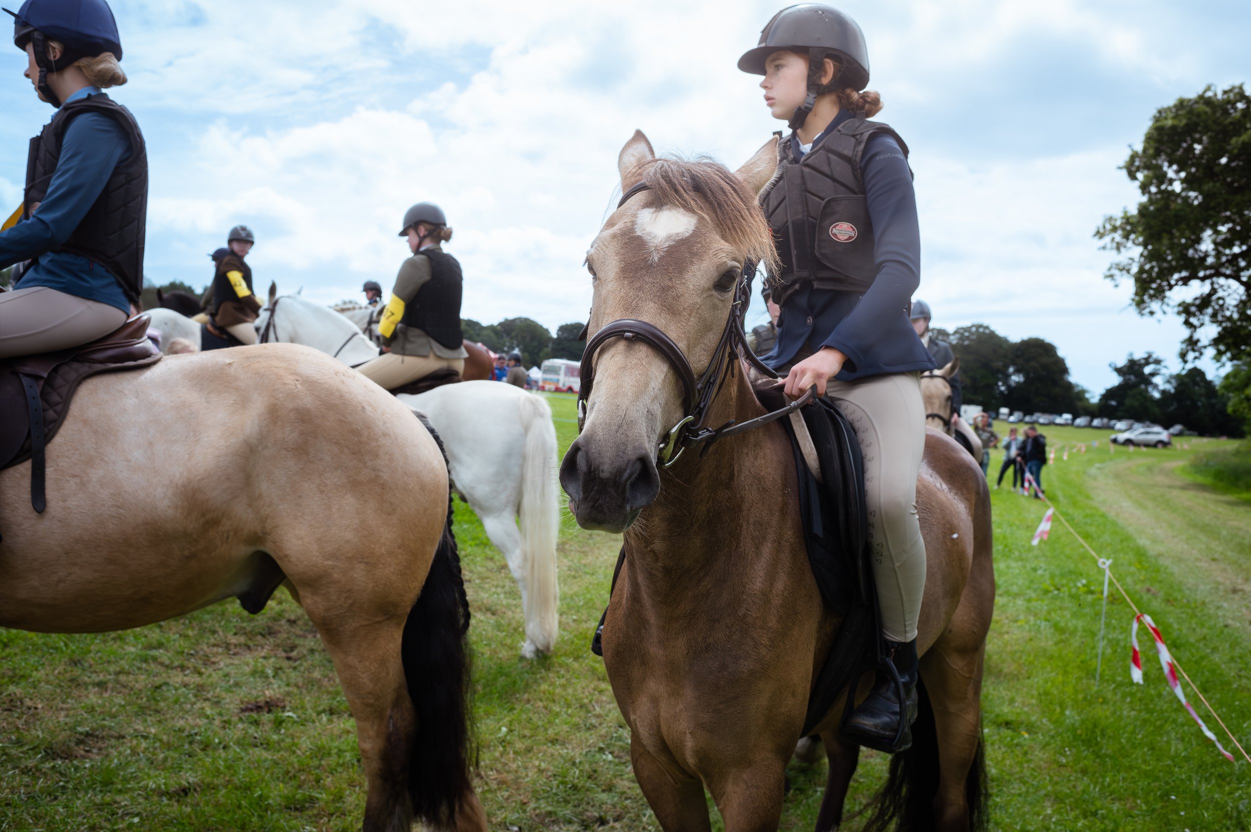 260614_Dundalk_Show_Horses_010.jpg