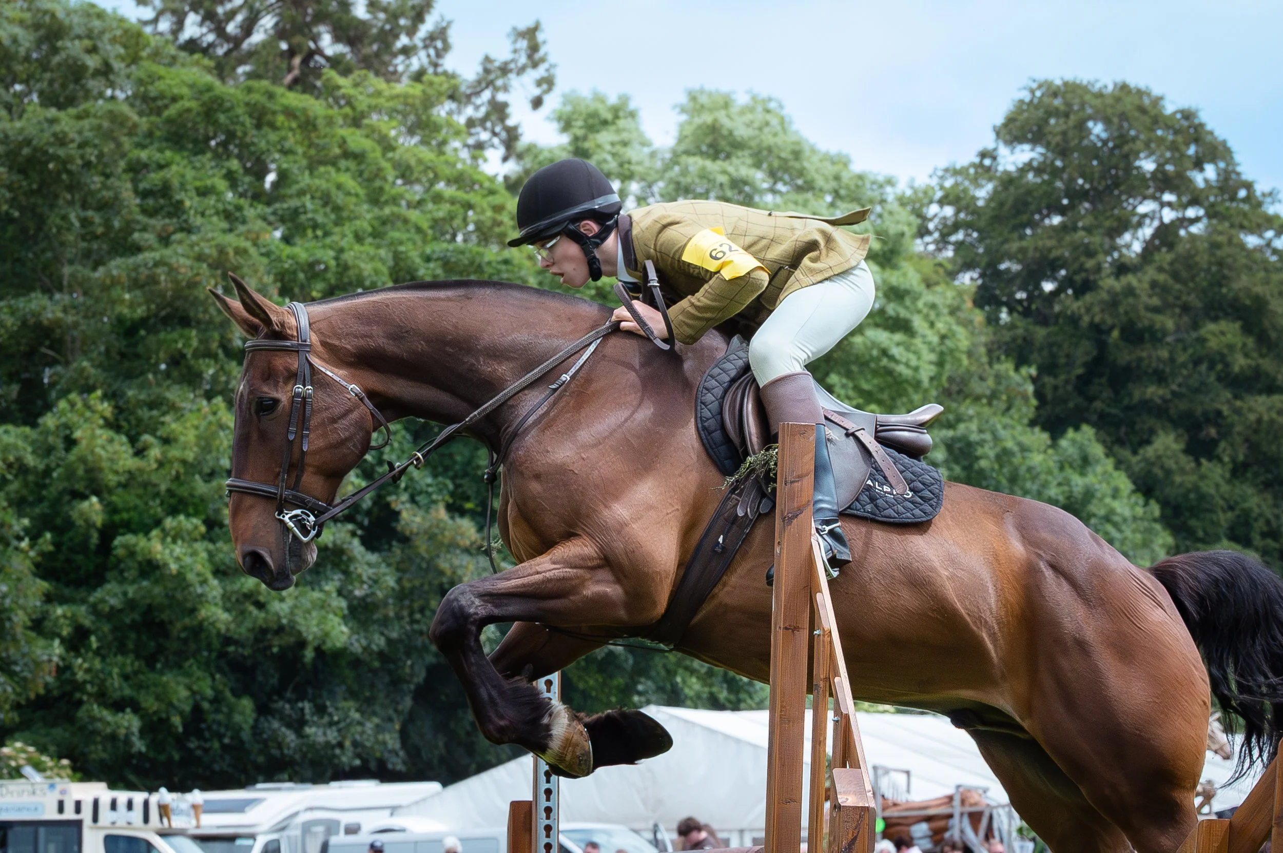 260614_Dundalk_Show_Horses_014.jpg