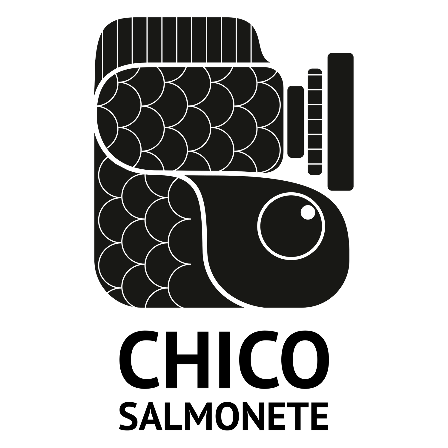 chicosalmonete.com