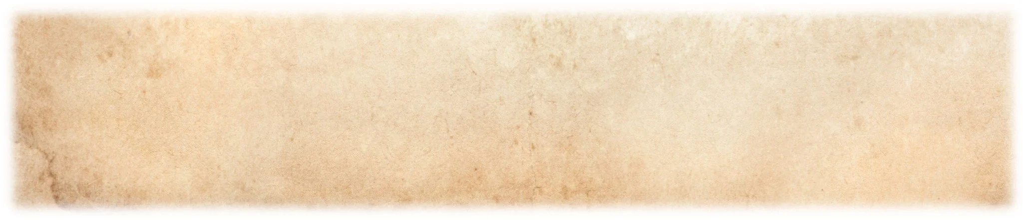 Pergament, FineAntz-Gen, Werte, Haltung