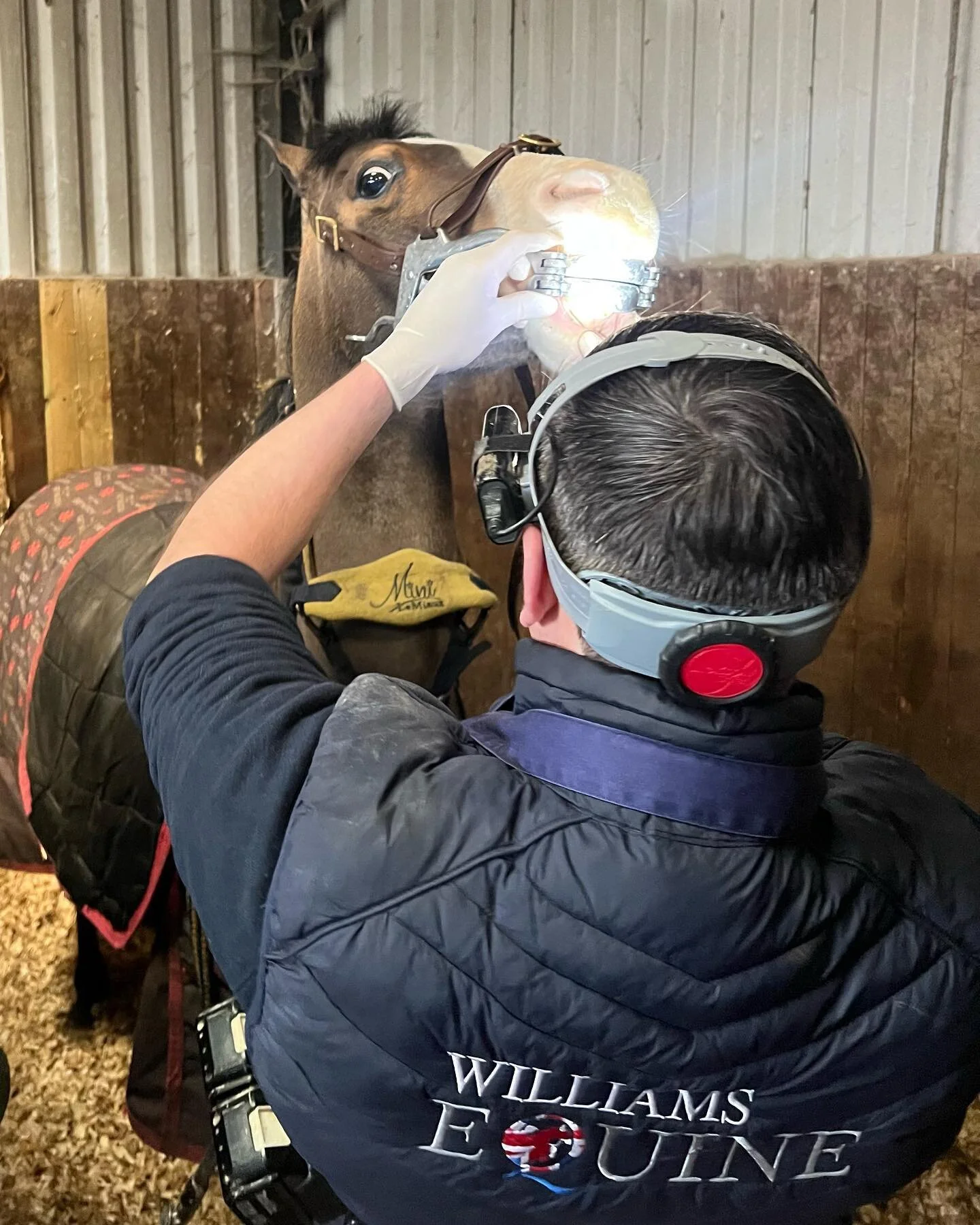 Ronnie having his check up 🦷