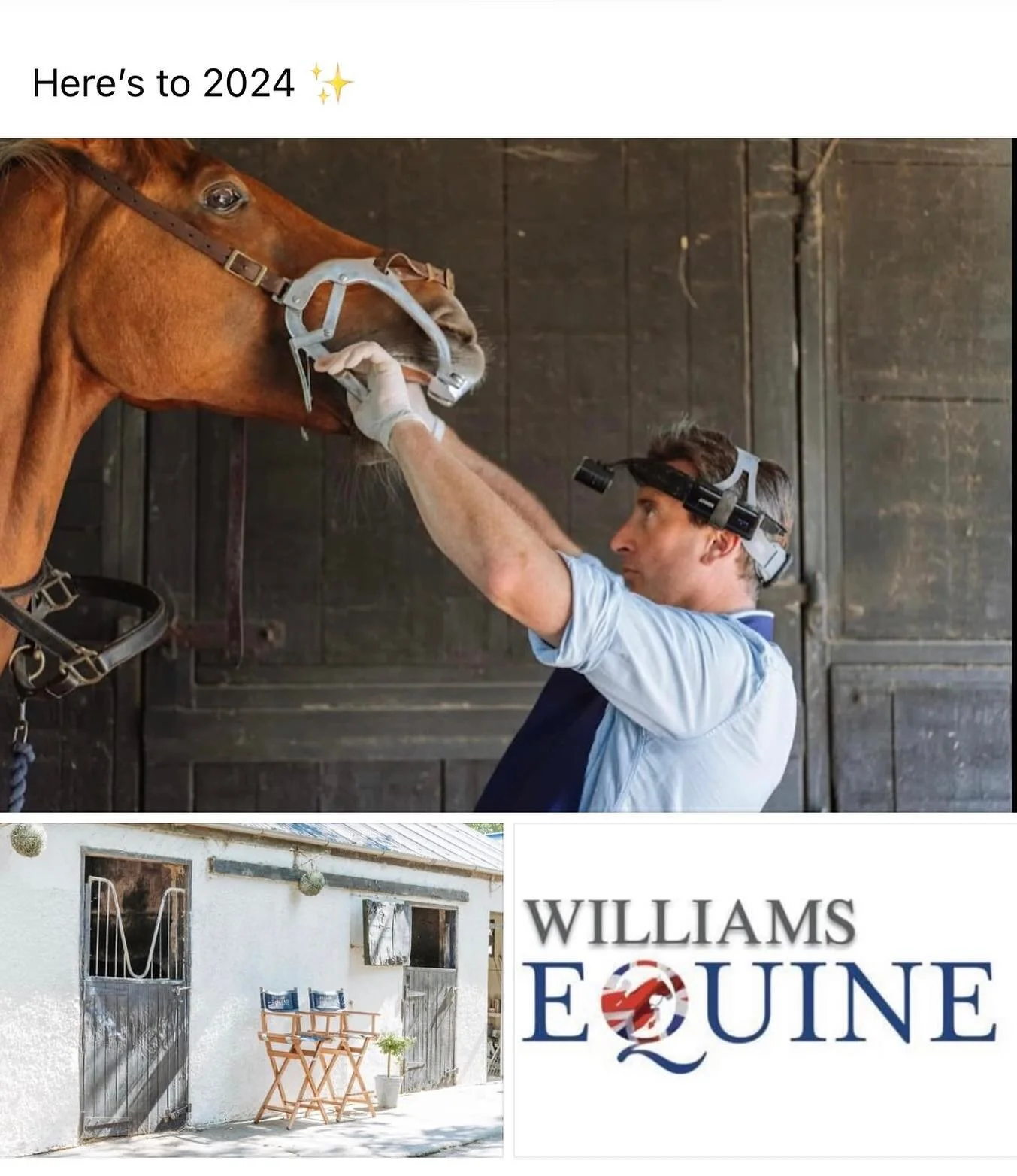 🔹Happy New Year from us at Williams Equine Dentistry.🦷

This year has seen a real growth in the business, with the main emphasis being providing the very best dental care to your horses.

Andrew has travelled the country throughout the year, taking