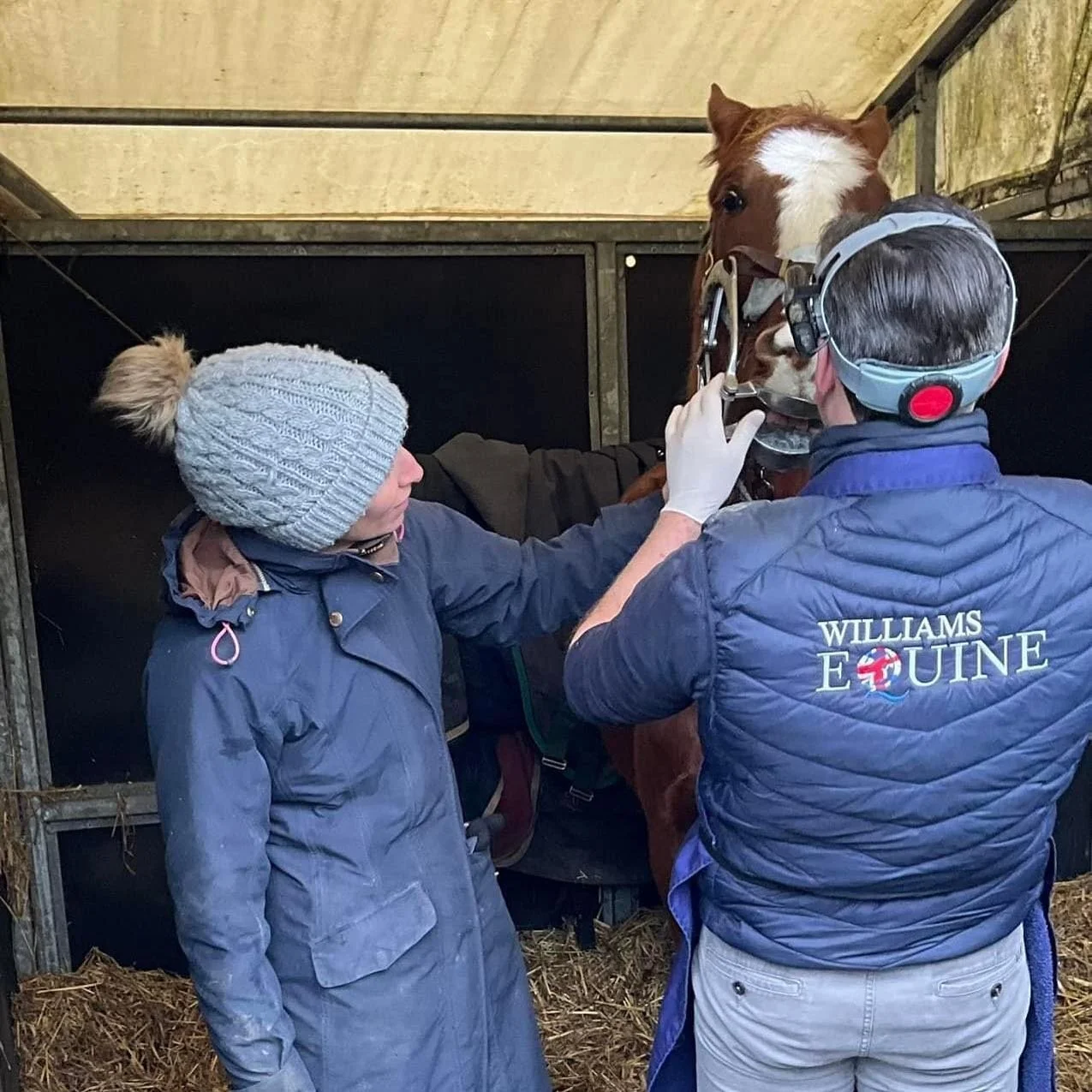 It&rsquo;s never too early to introduce your young horse to the dentist!

Today we visited this delightful yearling Austin and his older brother Charlie. 

Austin was introduced to the gag, and was examined, and given a little comfort float. 

Introd